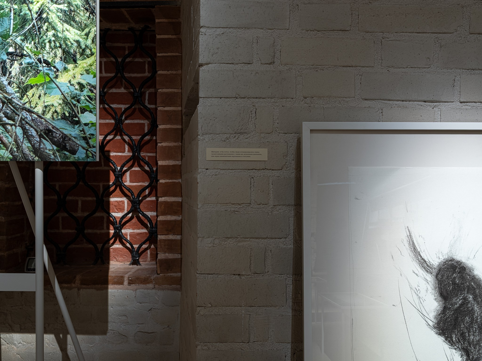 Выставка: «Ольга Чернышева. С листа» Музей AZ. Фотограф Василий Буланов