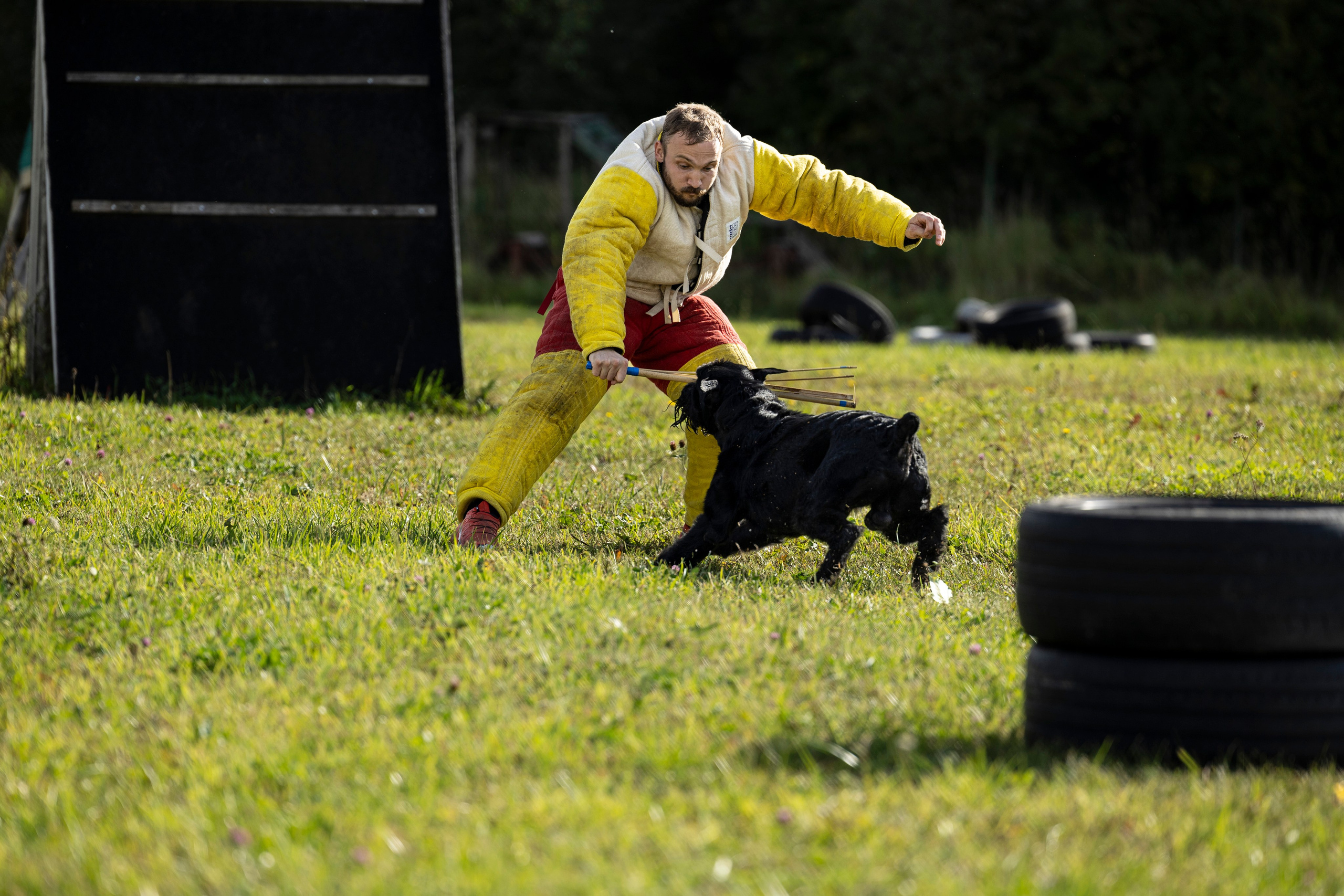 Испытания по Мондьорингу г. Пушкин. Фотограф-анималист Анна Маринич