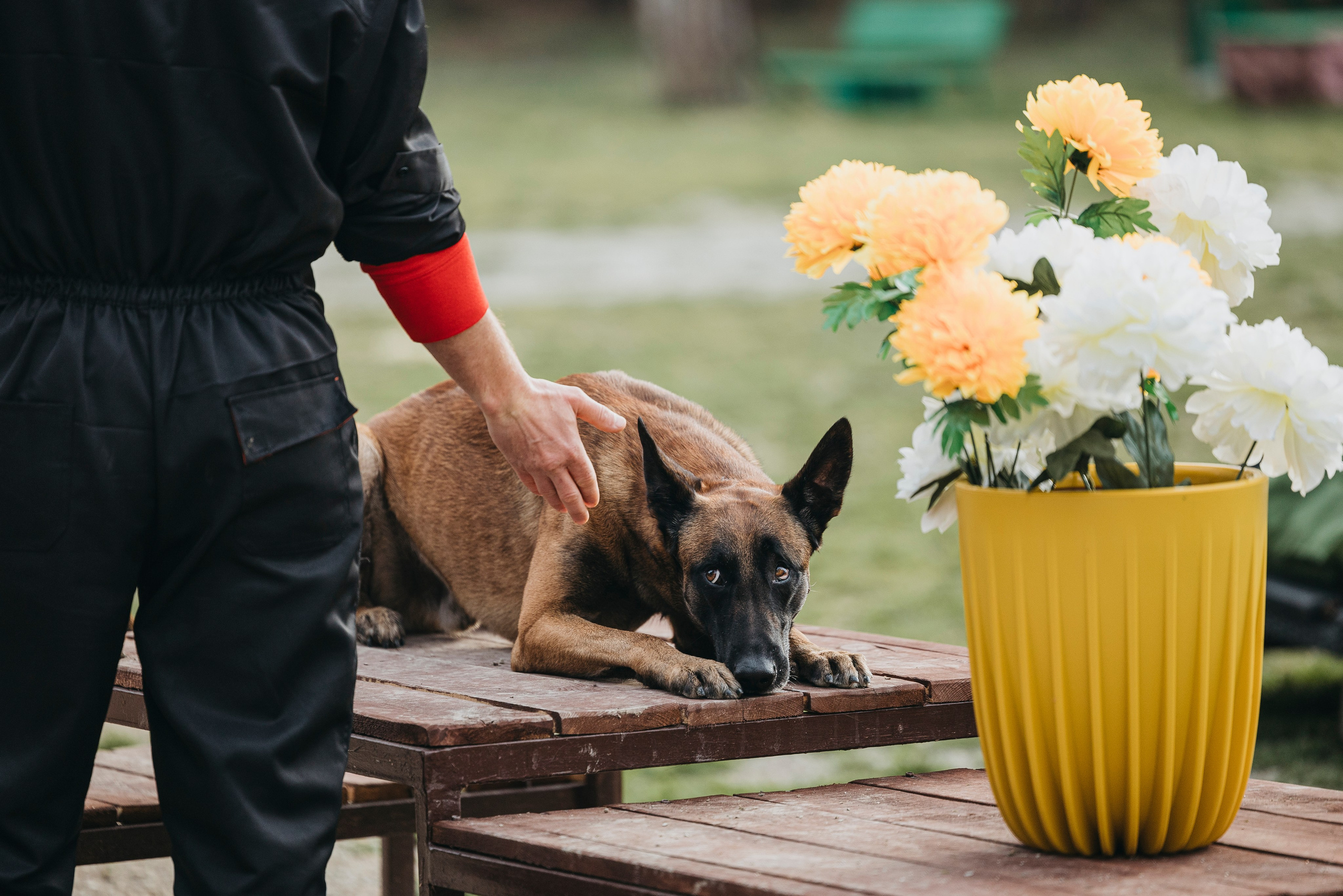 Геленджик Мондьоринг. Фотограф-анималист Анна Маринич
