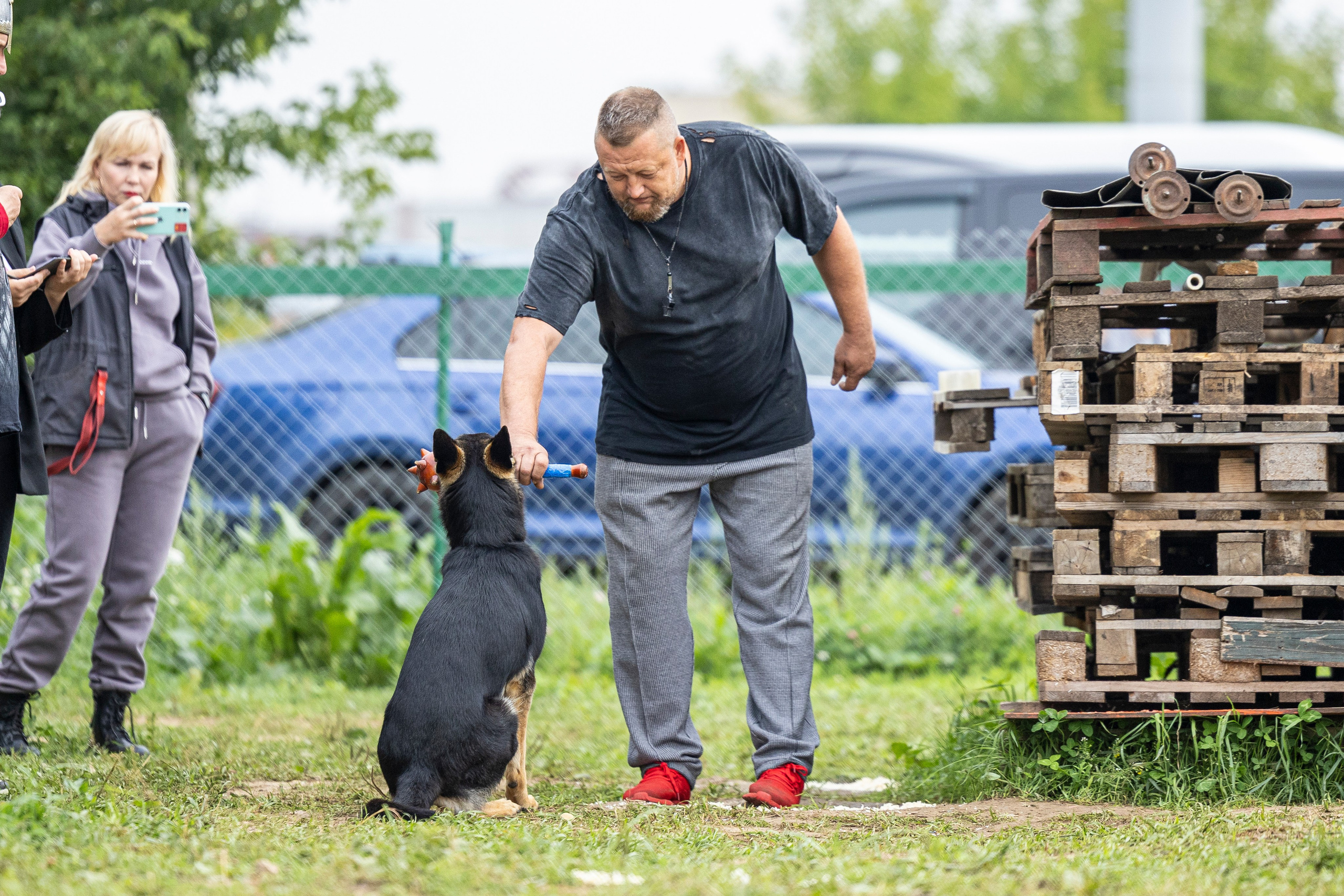 Соревнования по Мондьорингу г. Вологда 10-11.08.2024. Фотограф-анималист Анна Маринич