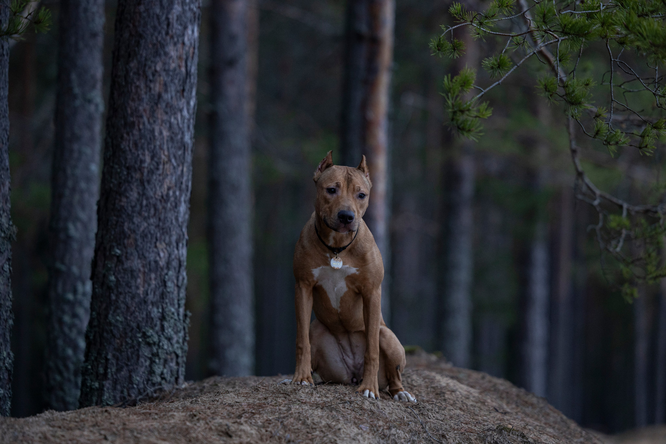 Лужские Мальдивы. Фотограф-анималист Анна Маринич