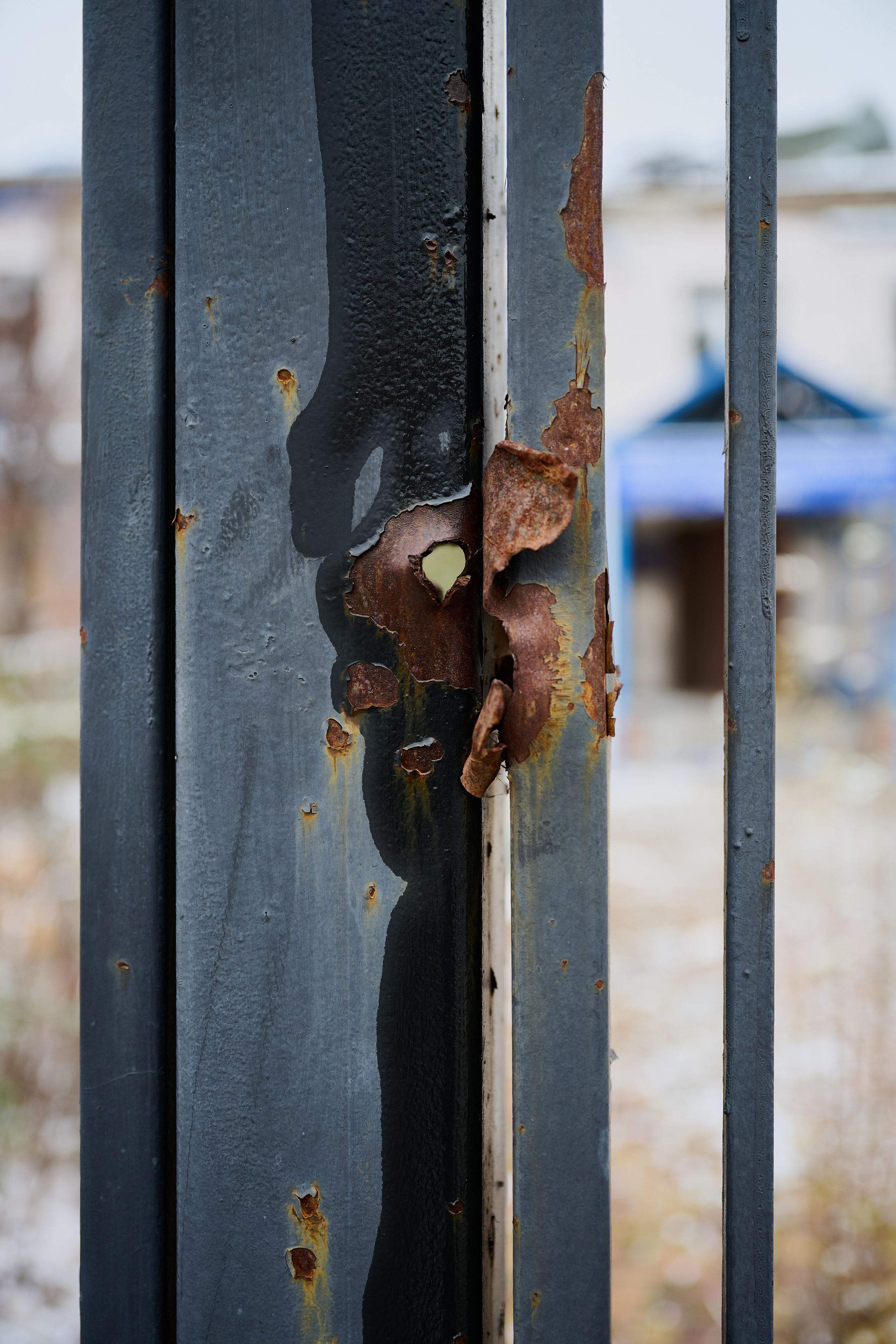 Северодонецк (Луганская область). Декабрь 2024. Фотограф Роман Адлер