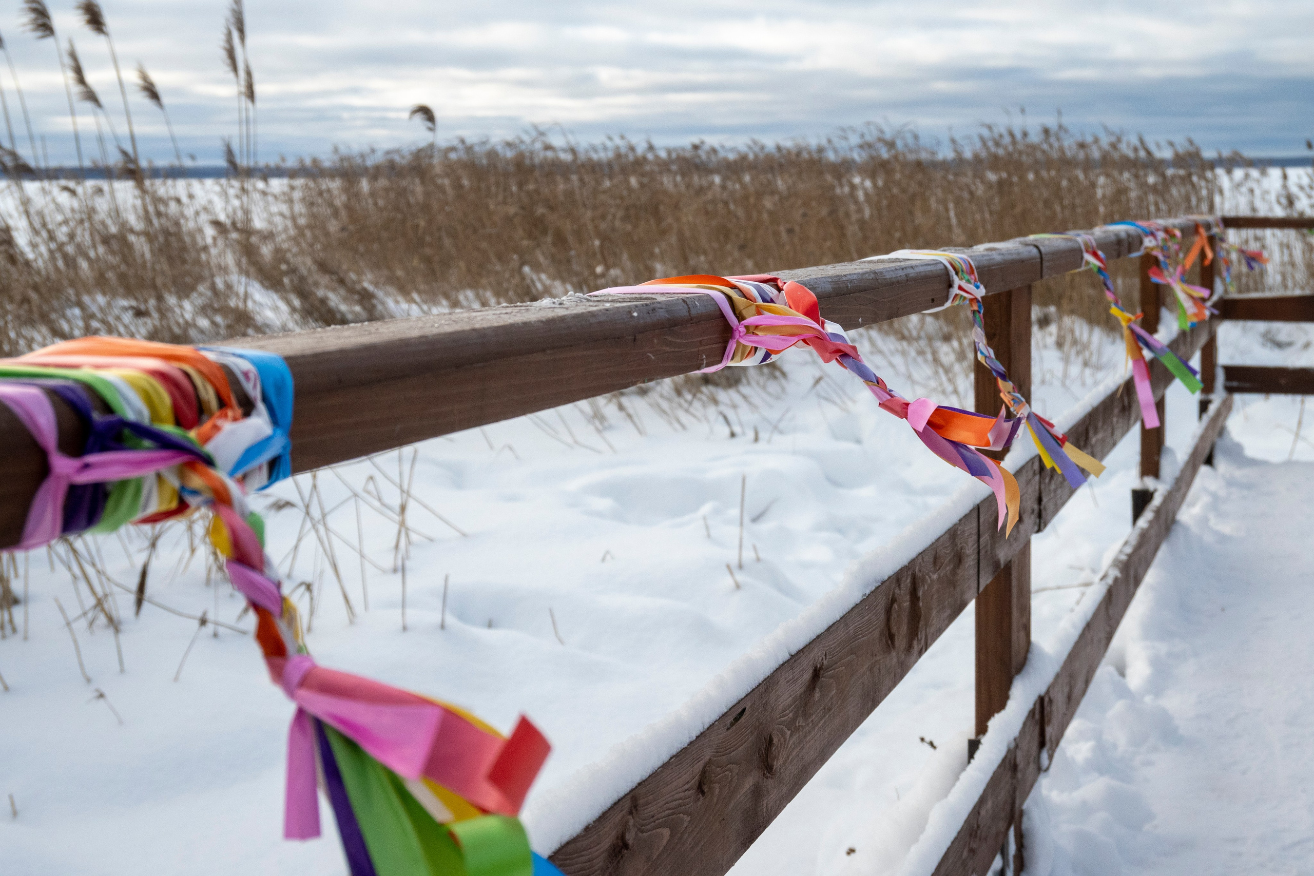 Фотопрогулка в Переславле. Фотограф Роман Адлер