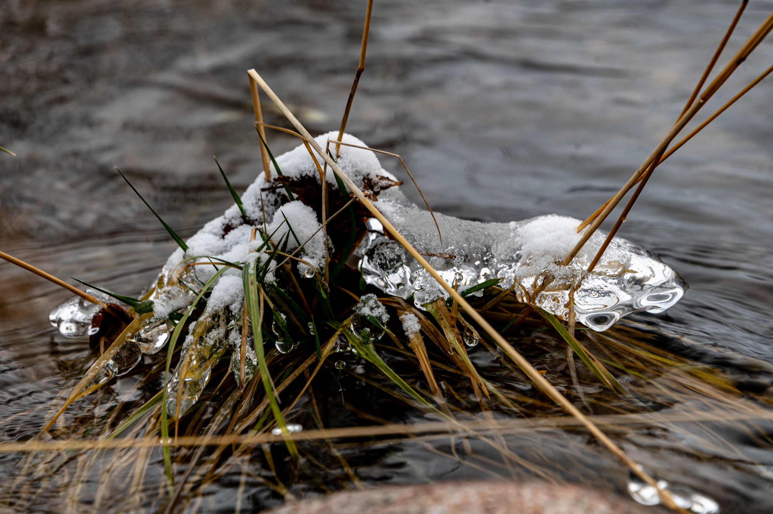 Териберка. Ноябрь 2023. Фотограф Роман Адлер