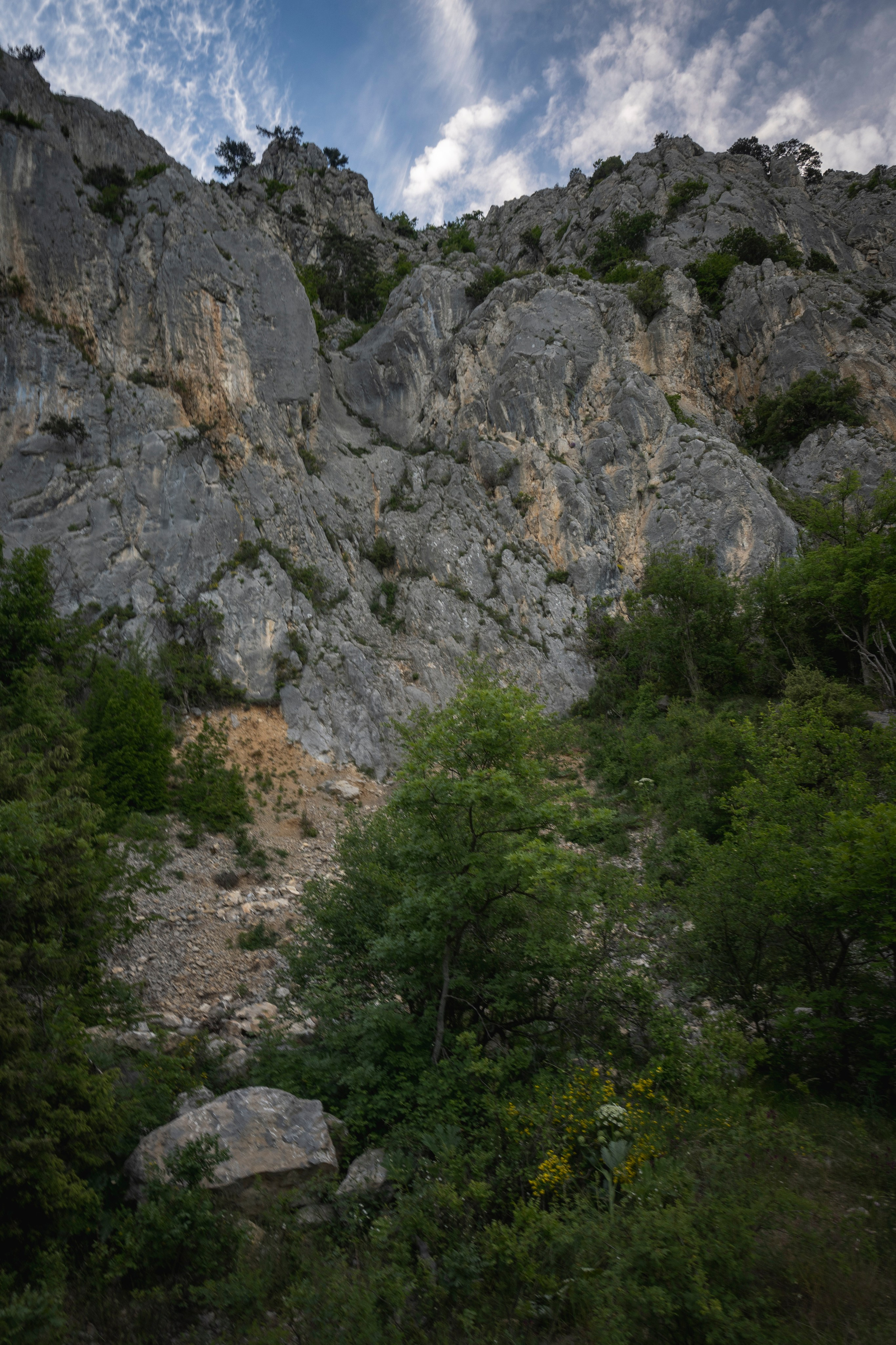 Крым май 2022. Фотограф Роман Адлер