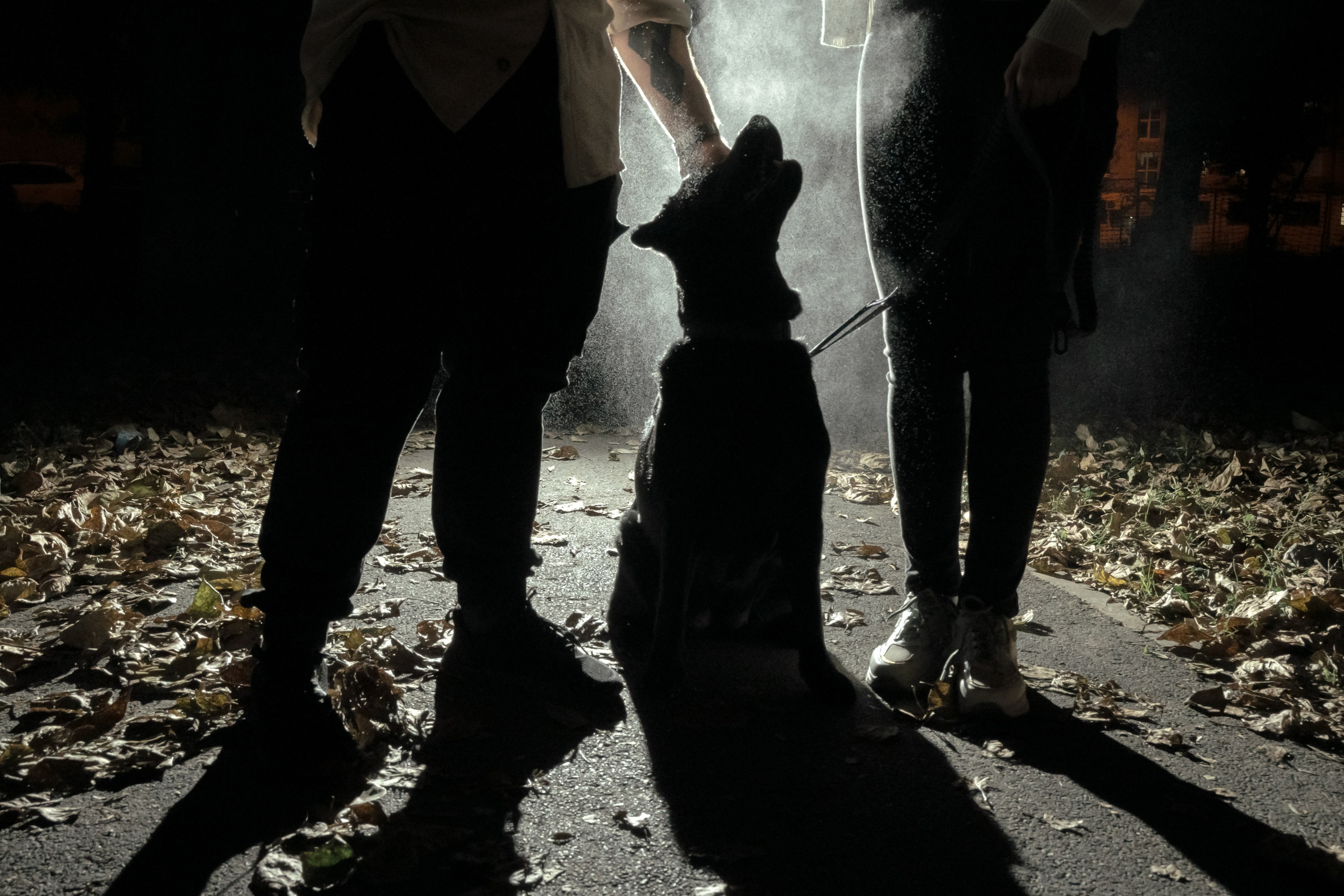 Фотограф и видеограф в Тюмени Екатерина Чернецкая