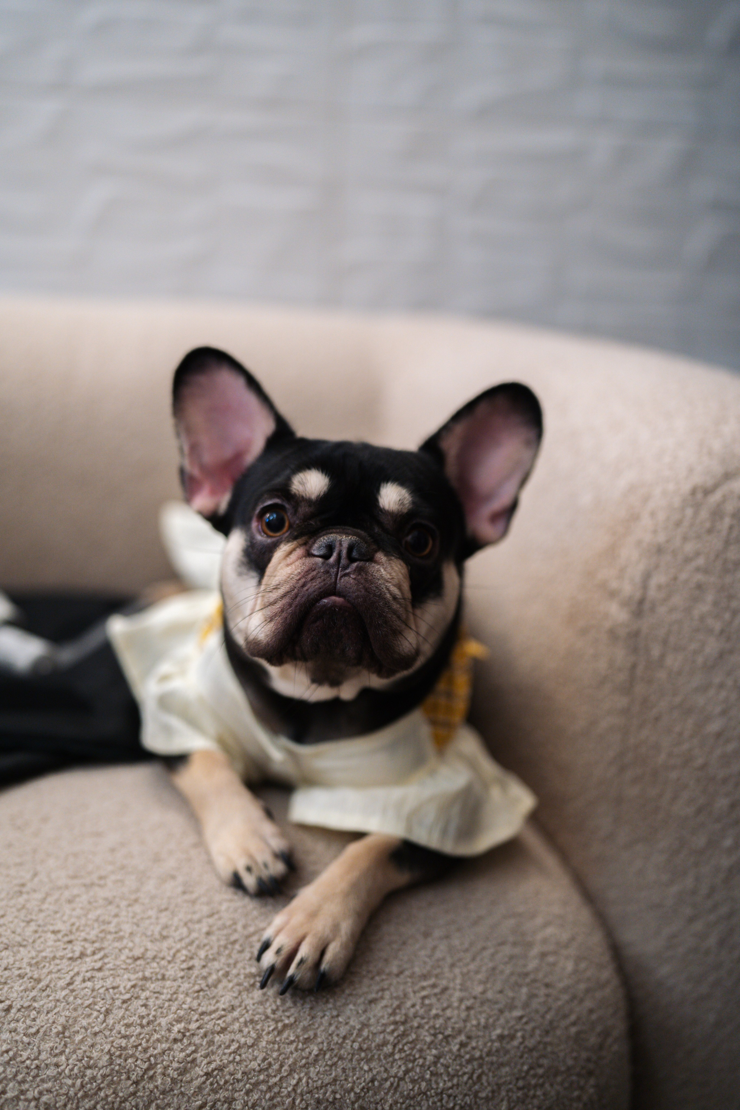 Юбилей 50 лет. Свадебный фотограф в Москве Кристина Чехова