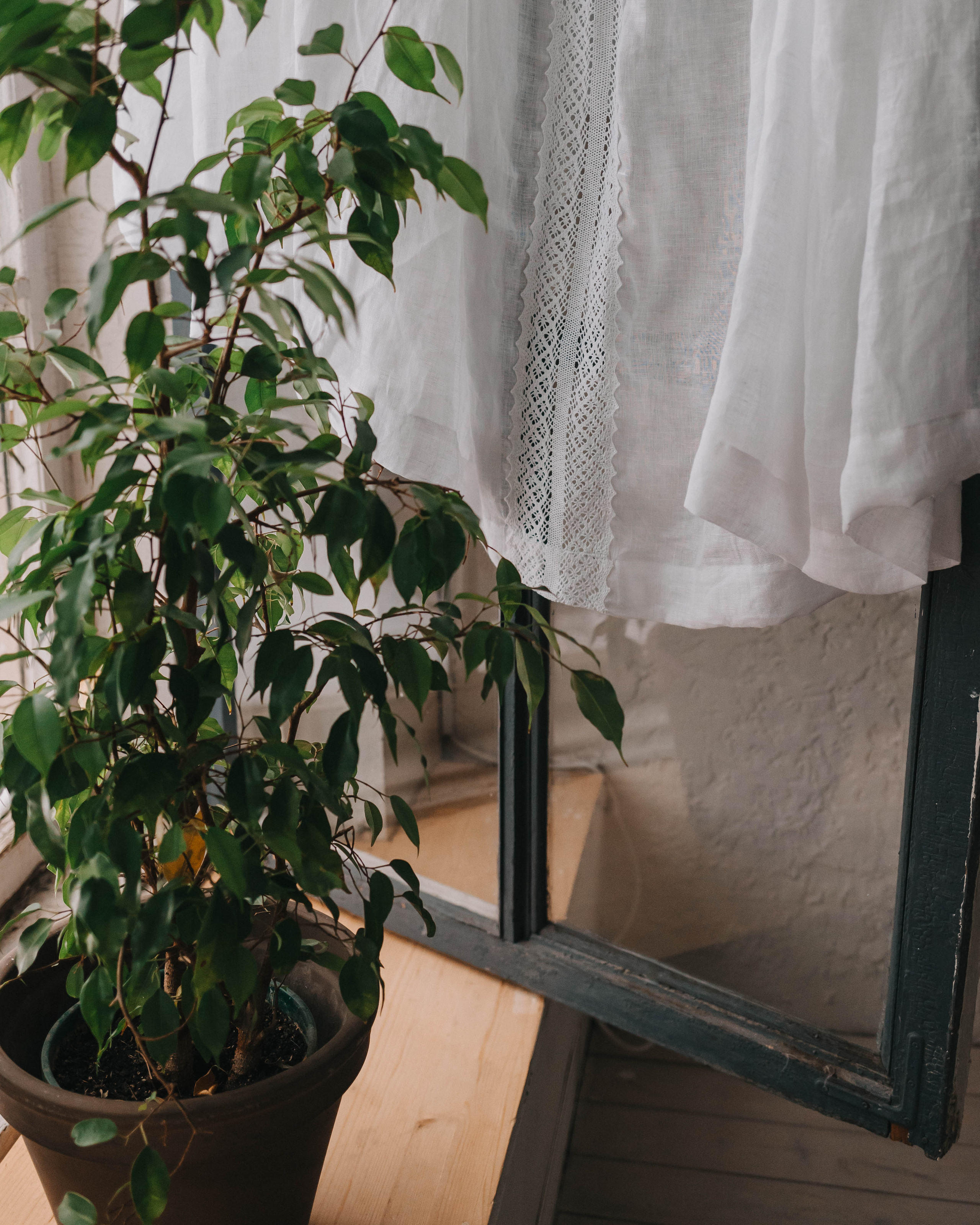 Льняные шторы «Dikaya morkov». Портретный фотограф в Минске Анна Волейко