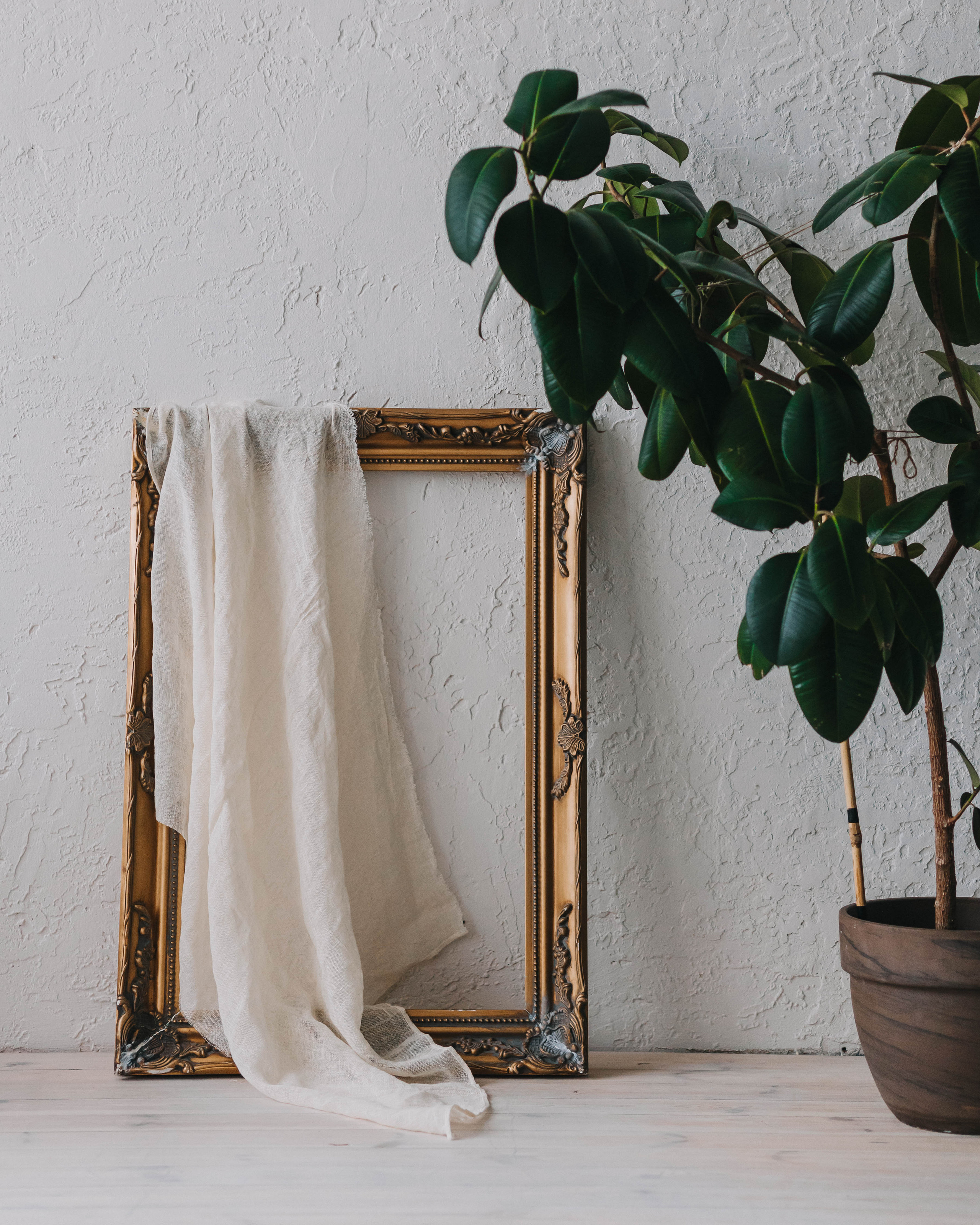 Льняные шторы «Dikaya morkov». Портретный фотограф в Минске Анна Волейко