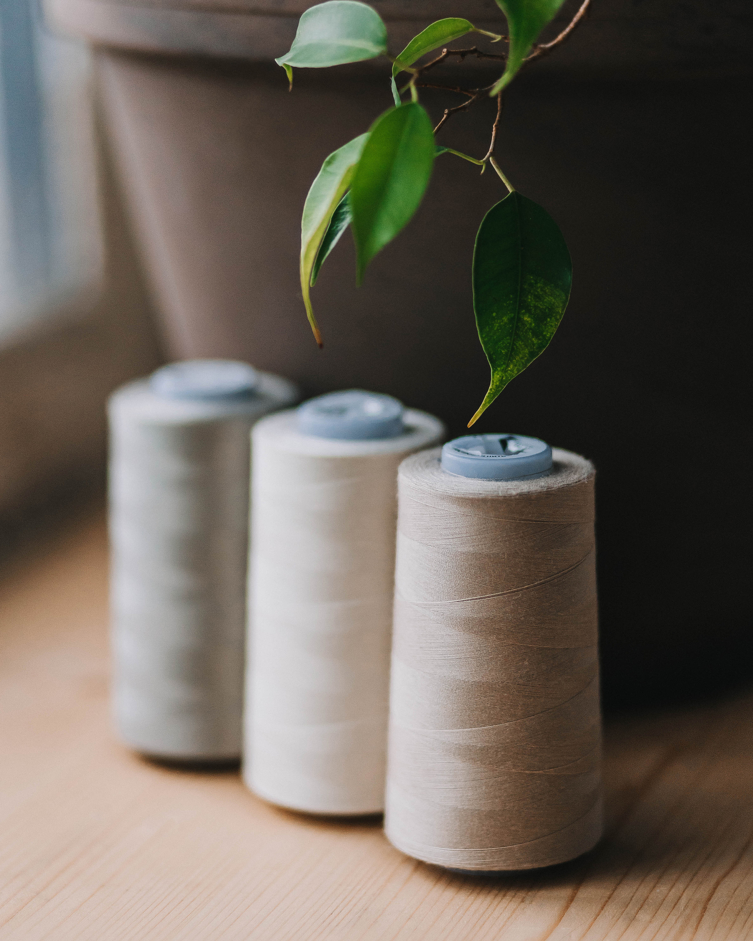 Льняные шторы «Dikaya morkov». Портретный фотограф в Минске Анна Волейко