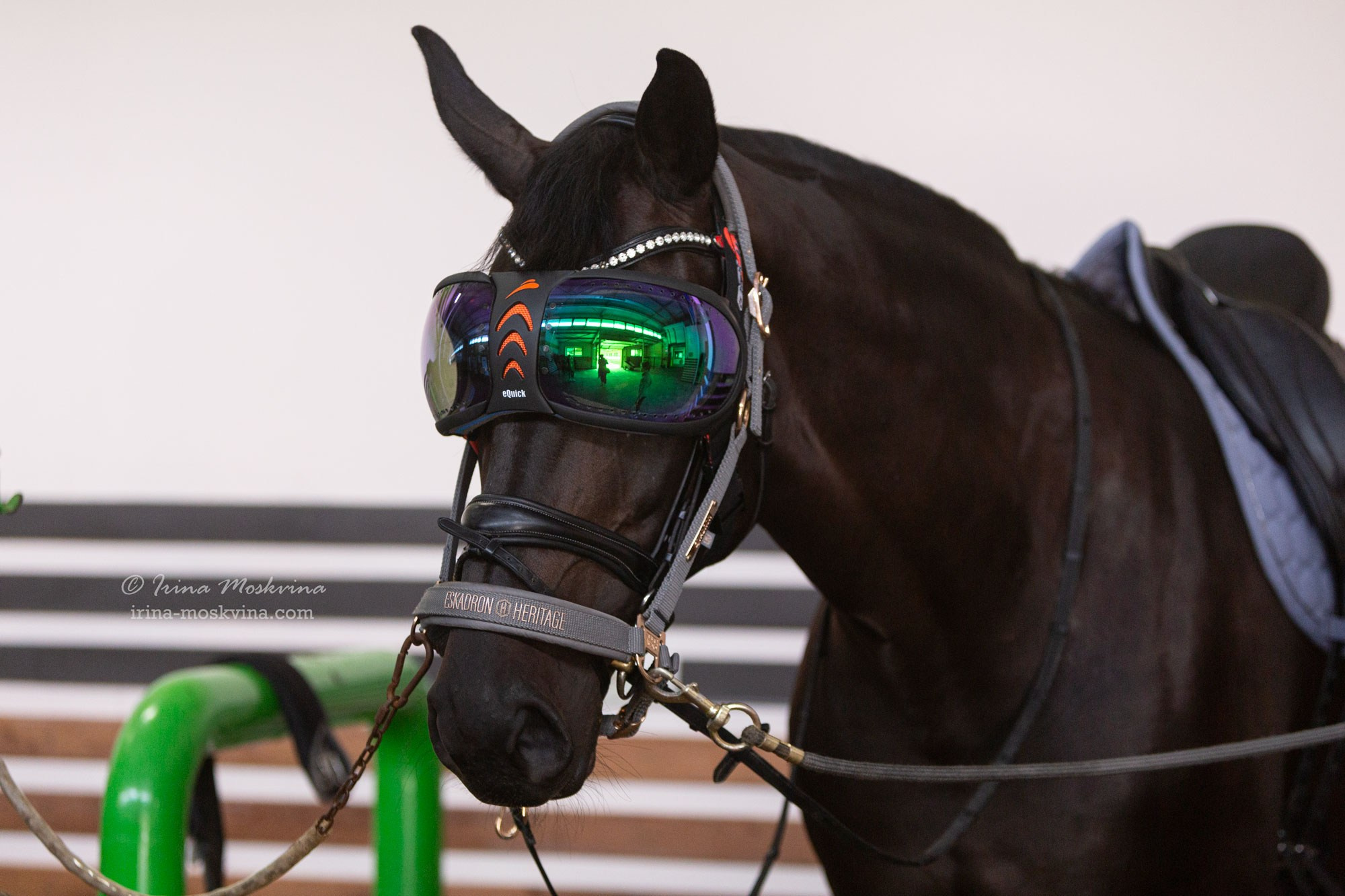 КСК «Алмазово» | Московская область | июль 2024. Ирина Москвина | фотограф | Москва