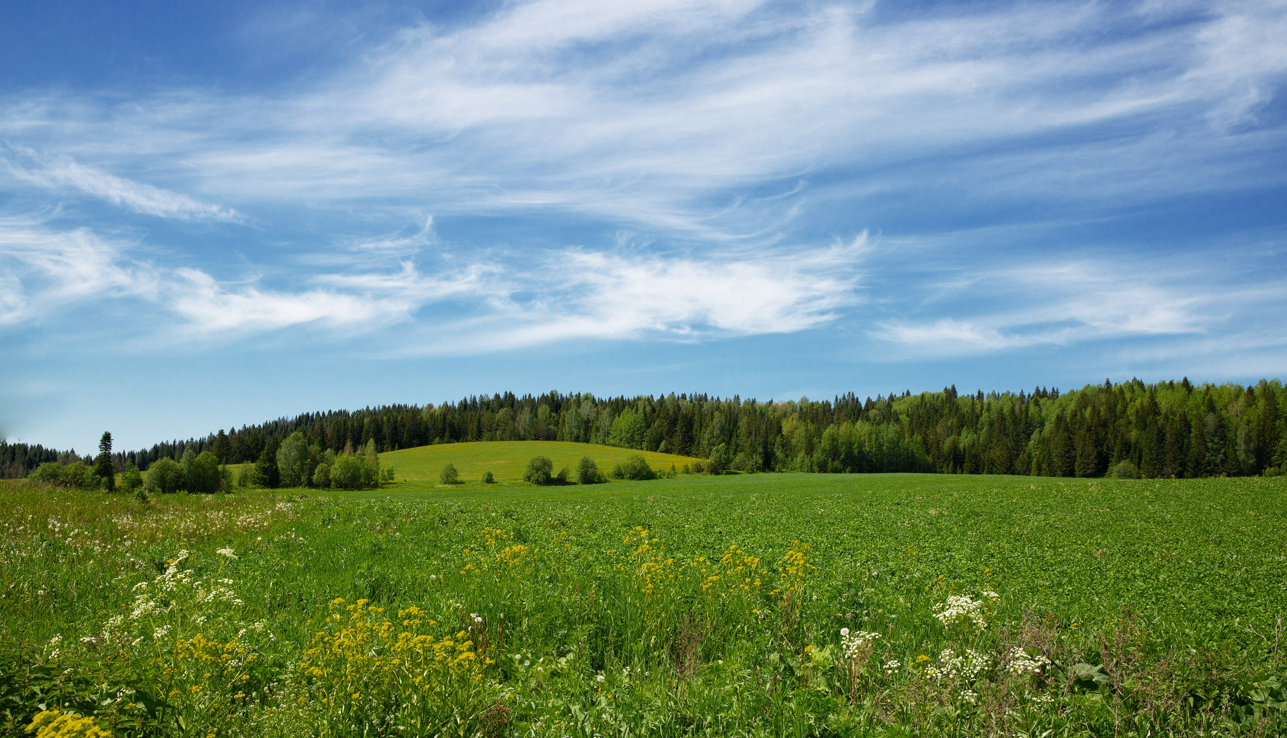 Пермь- Хохловка-Белогорье. Мой фотомир