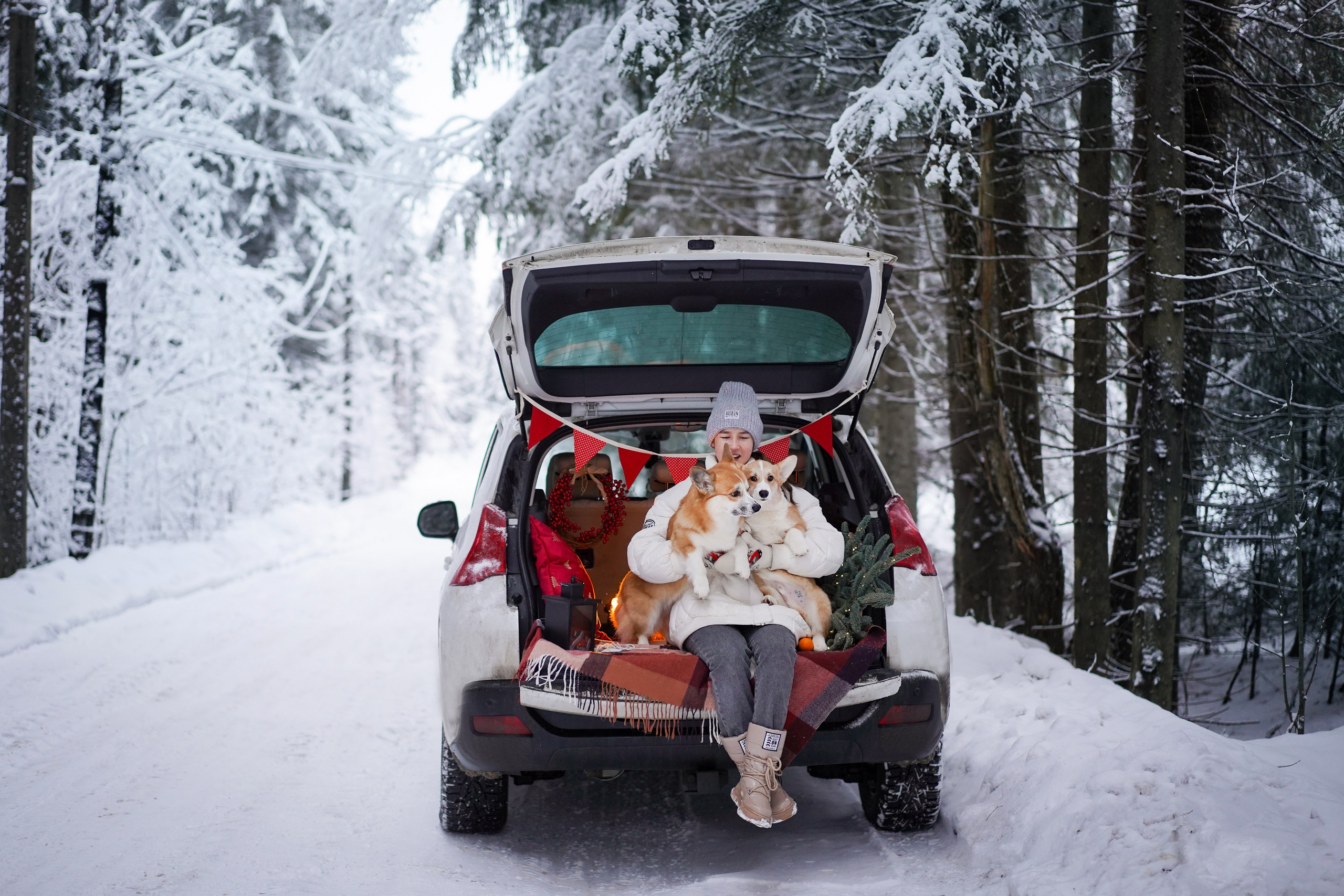 Катя Рокки и Честер. Фотограф-анималист в Санкт-Петербурге Яна Мартынова