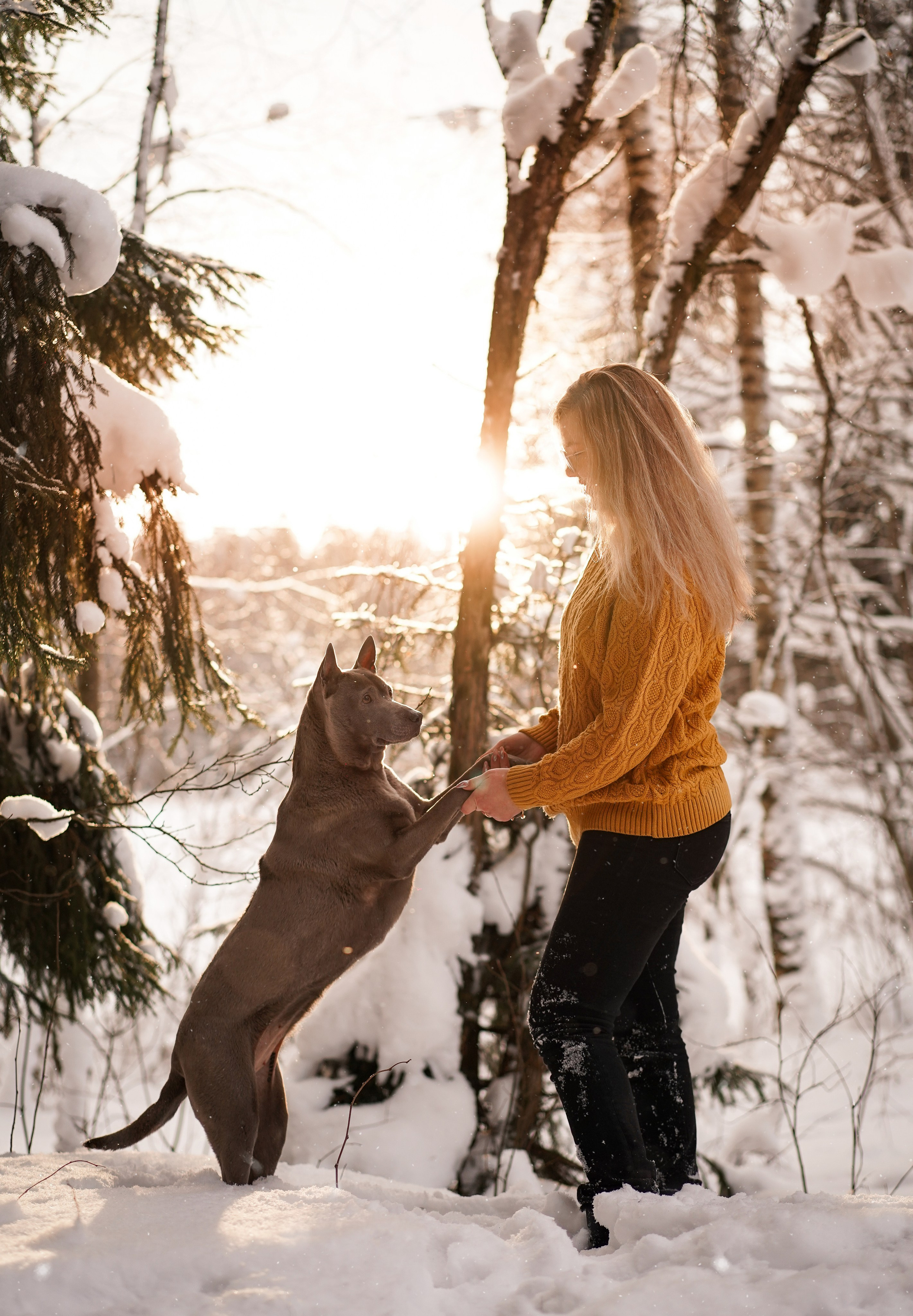 Даша Илья Вениамина и Мэдиссон. Фотограф-анималист в Санкт-Петербурге Яна Мартынова
