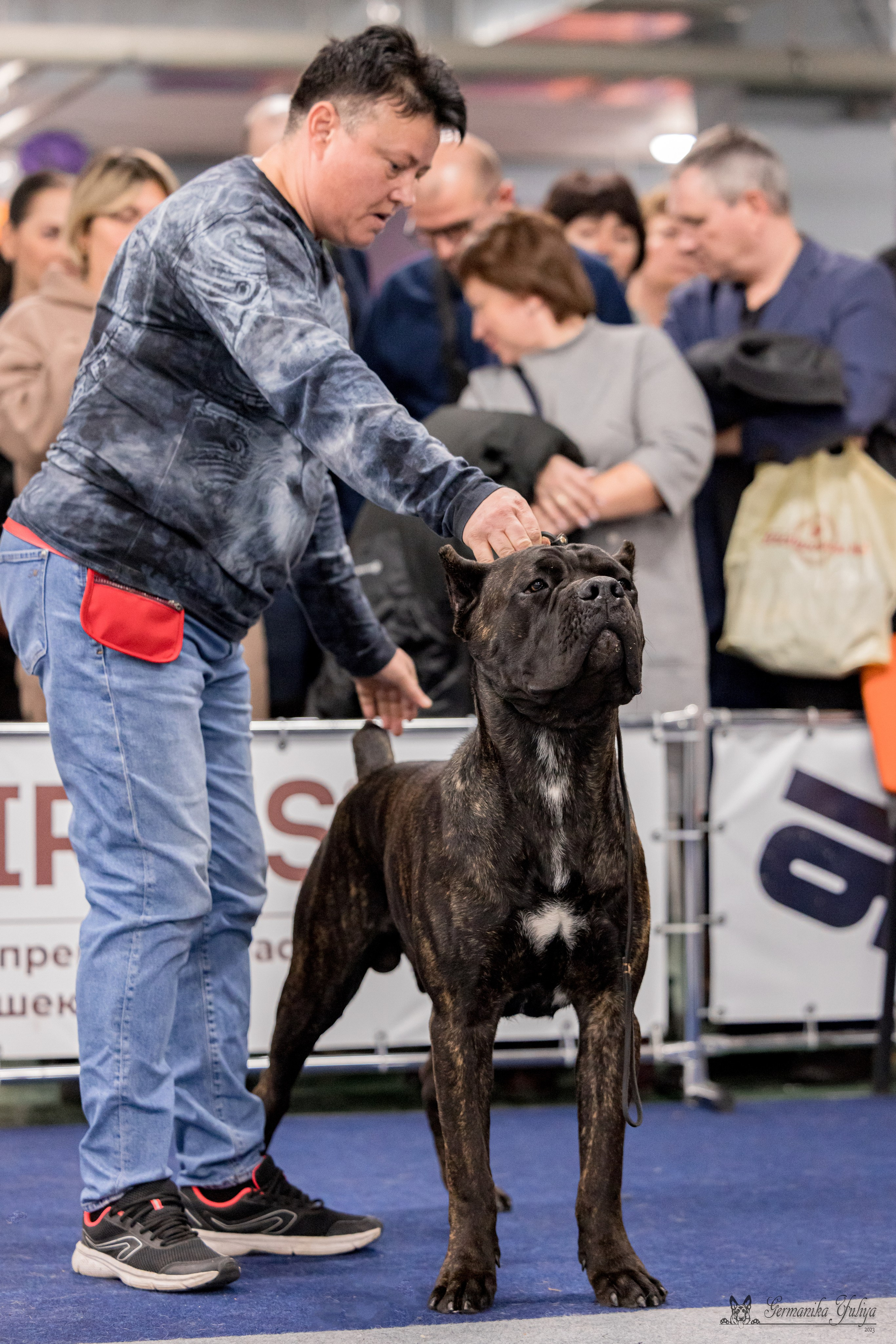 Сфера 29.10,Крокус 4.11,Сфера 12.11.2023. Фотограф-анималист Юлия Германика