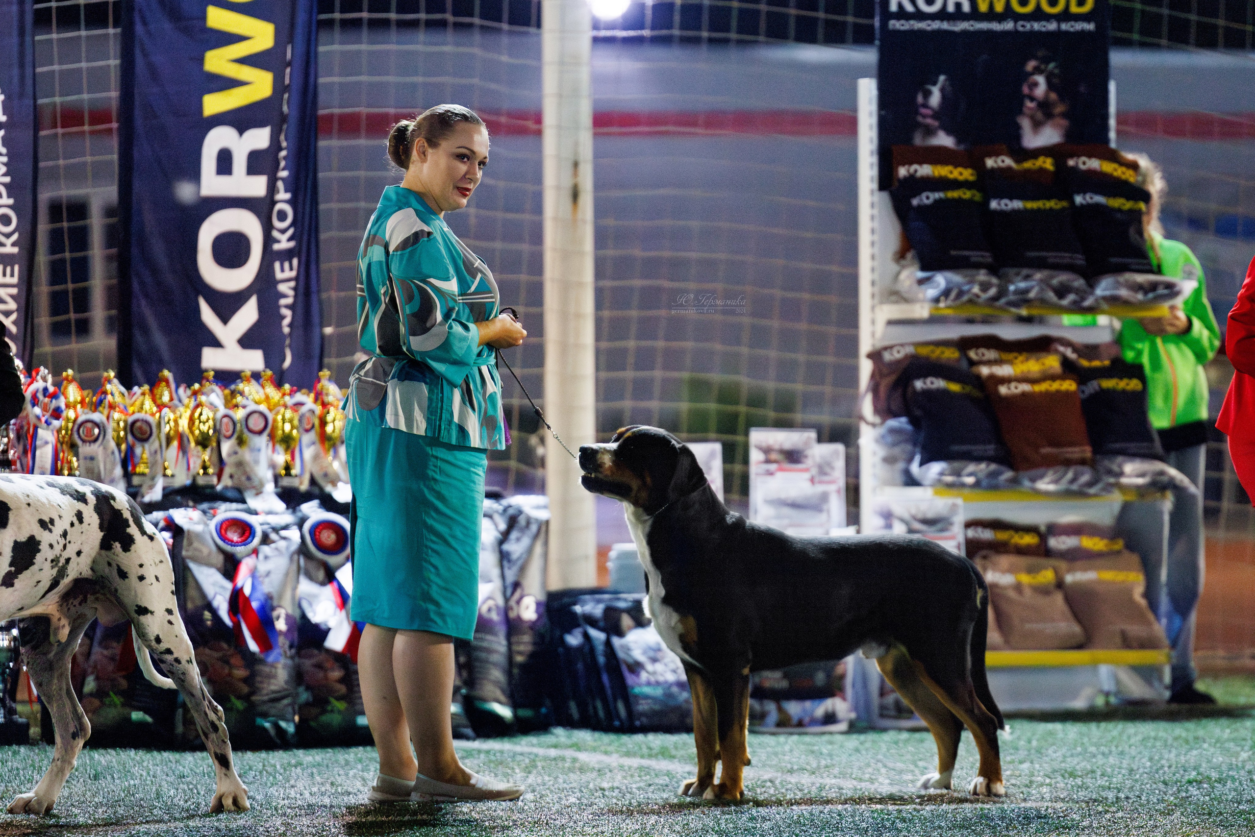 Волгоград 2-4.08.2024. Фотограф-анималист Юлия Германика