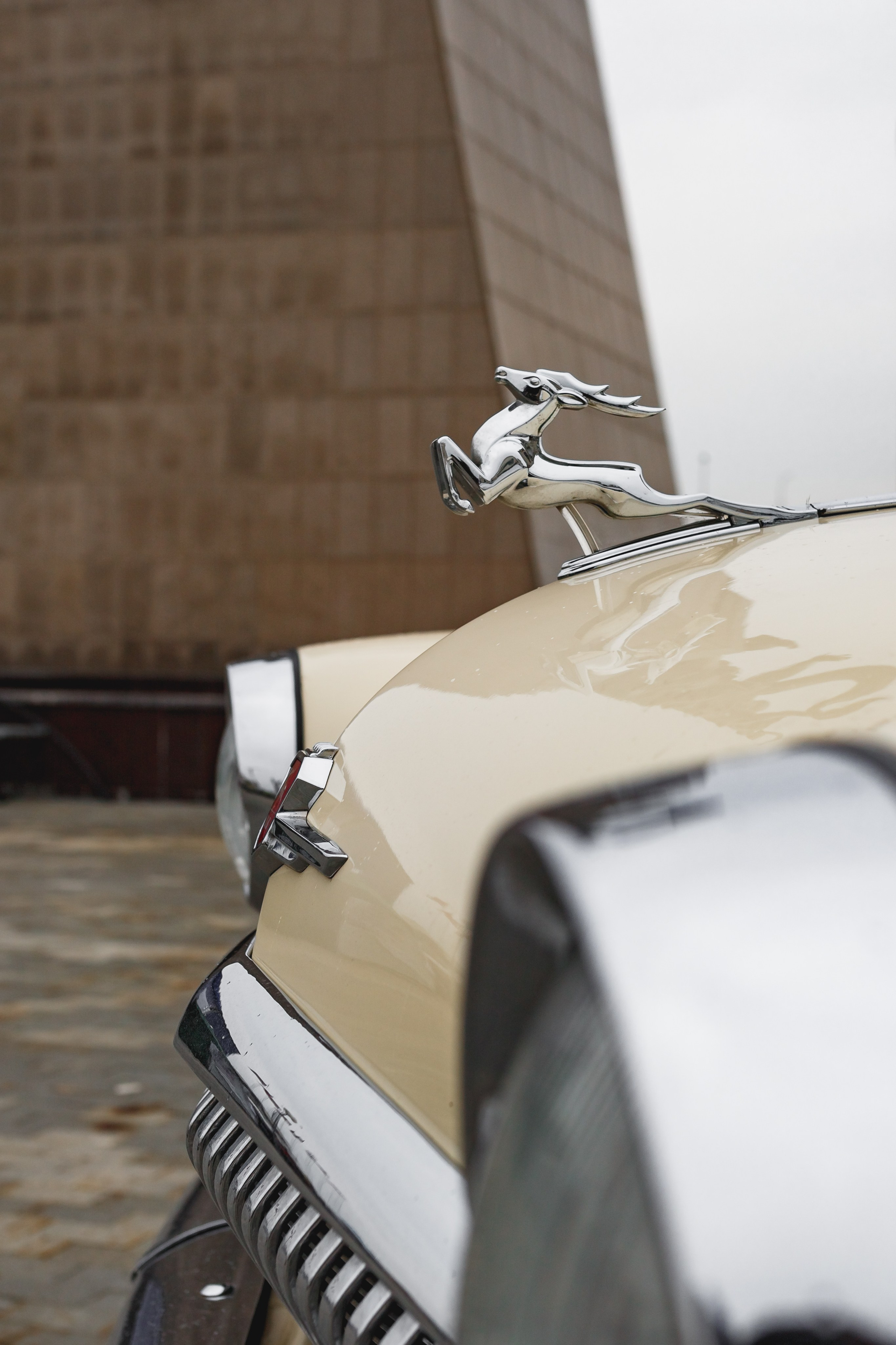 Stance, Drift, Projects. Семейный фотограф в Екатеринбурге