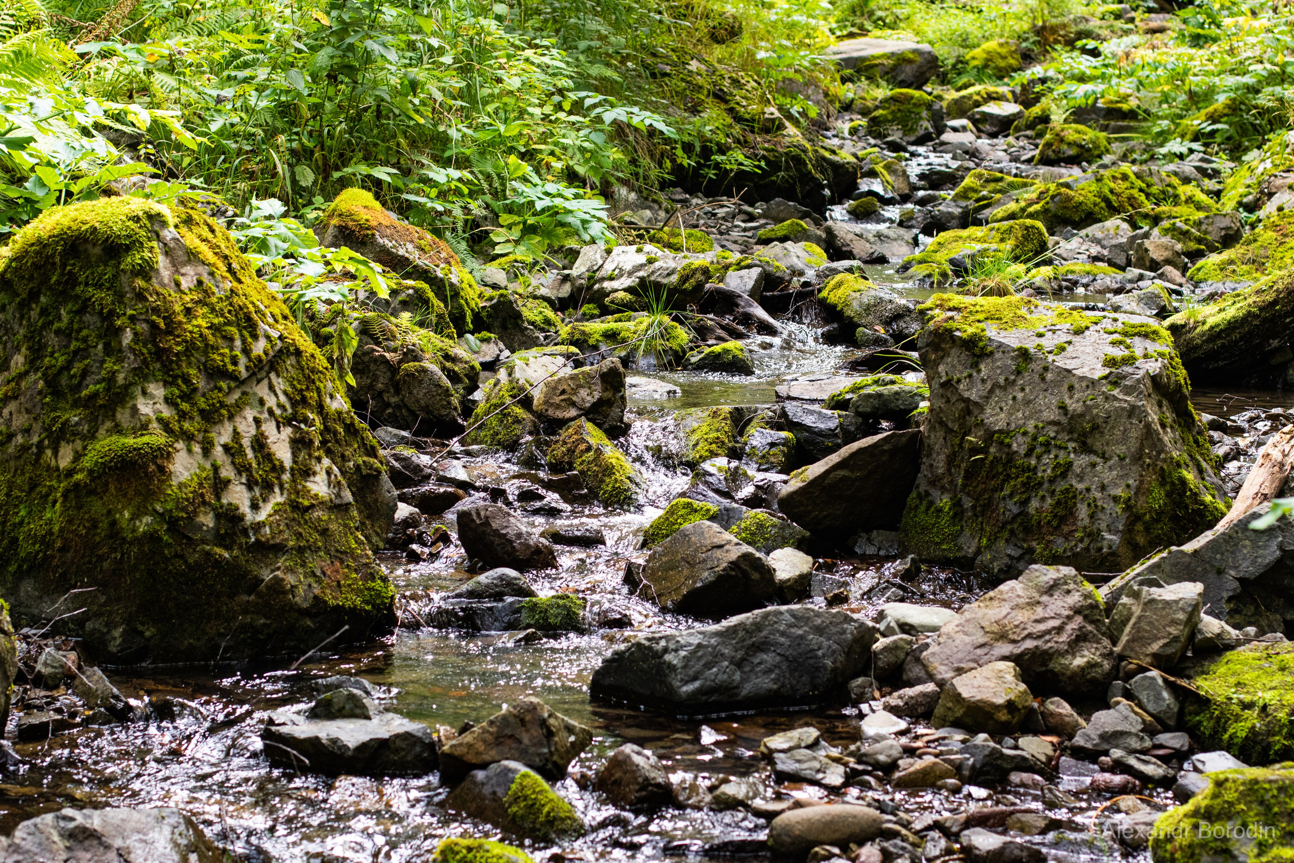 Пейзажи. Профессиональный фотограф Александр Бородин