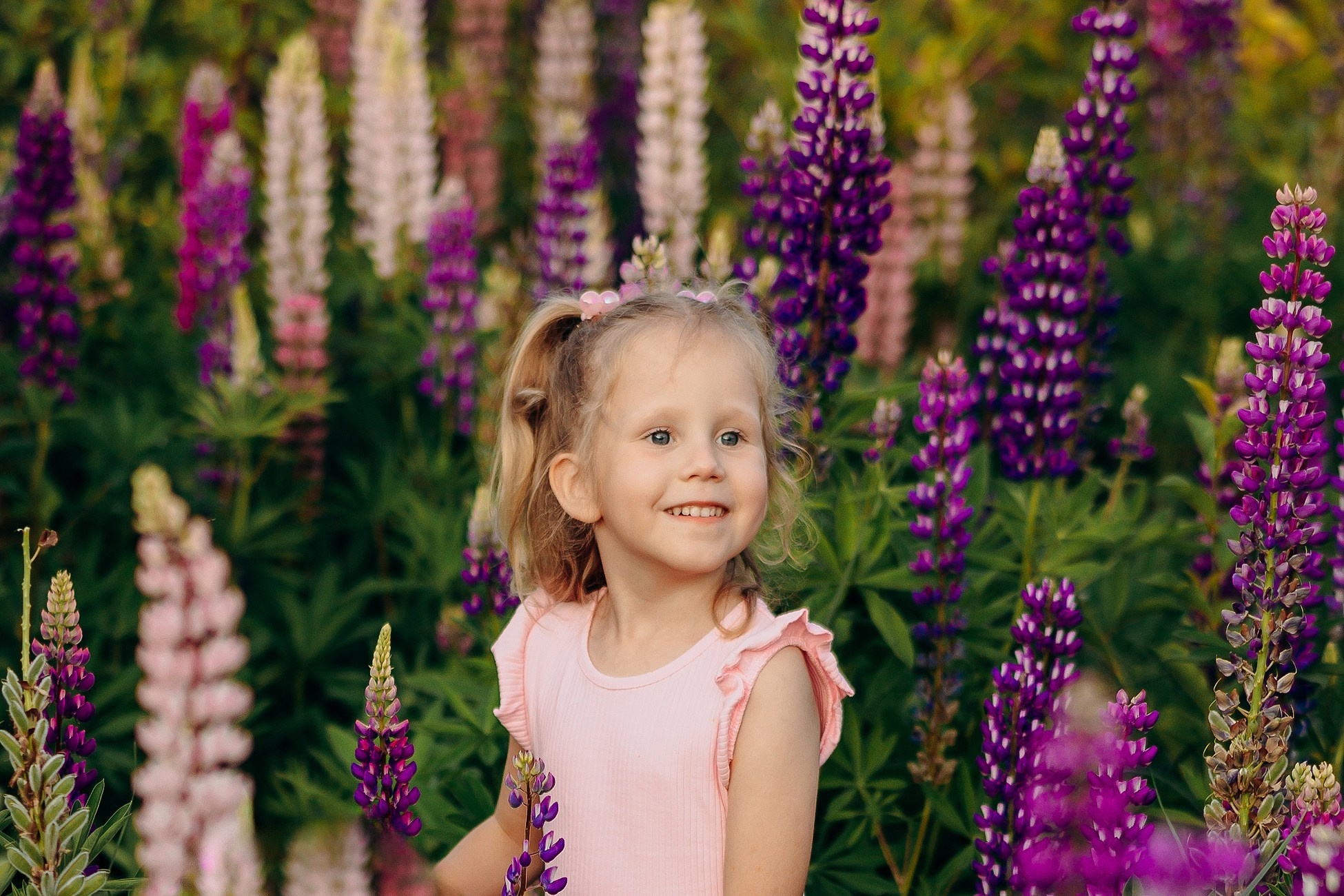 Прогулка в люпиновом поле. Семейный фотограф в Пензе Мария Левина