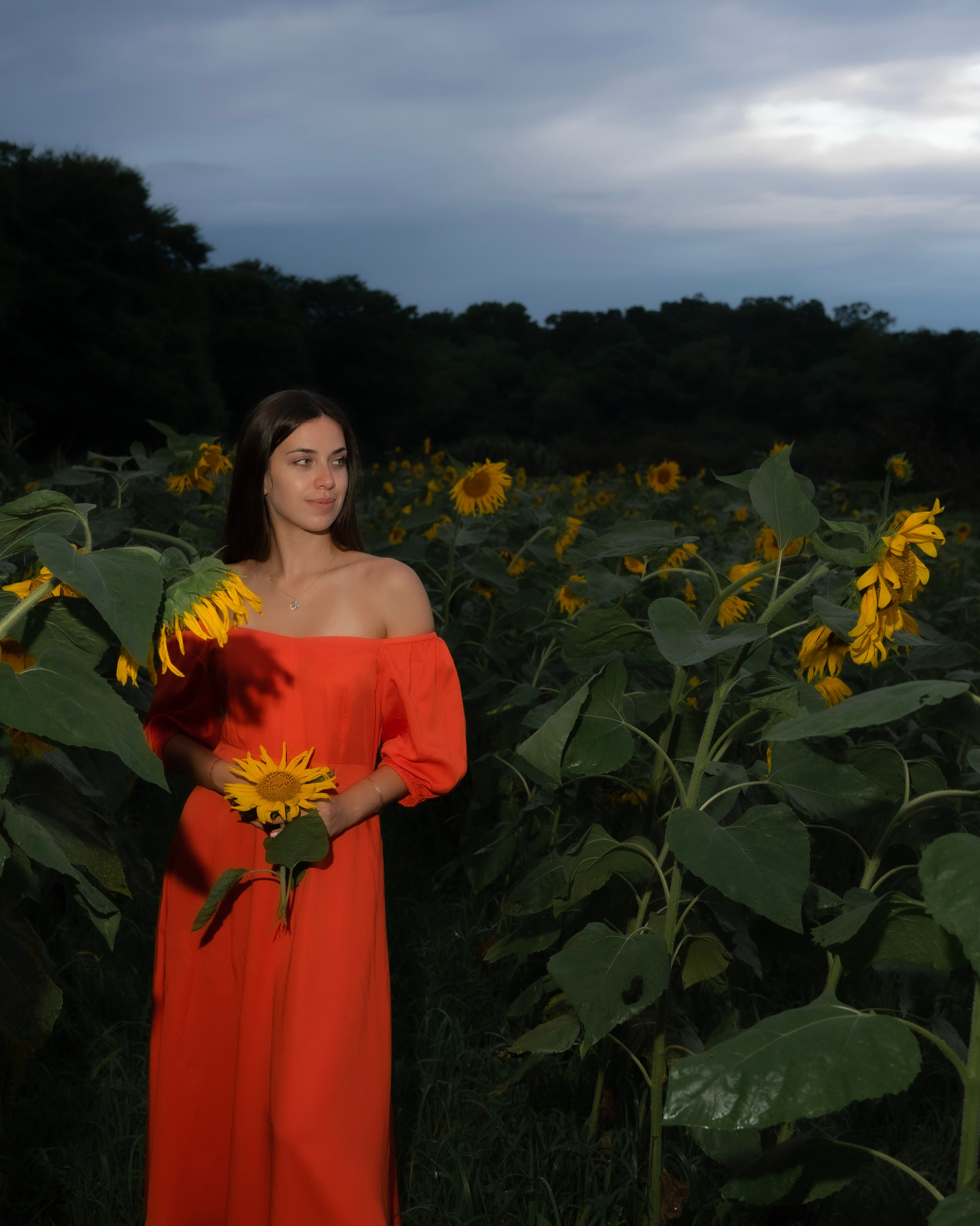 В подсолнухах. Женский, семейный фотограф в г. Уссурийске Марина Гусарова