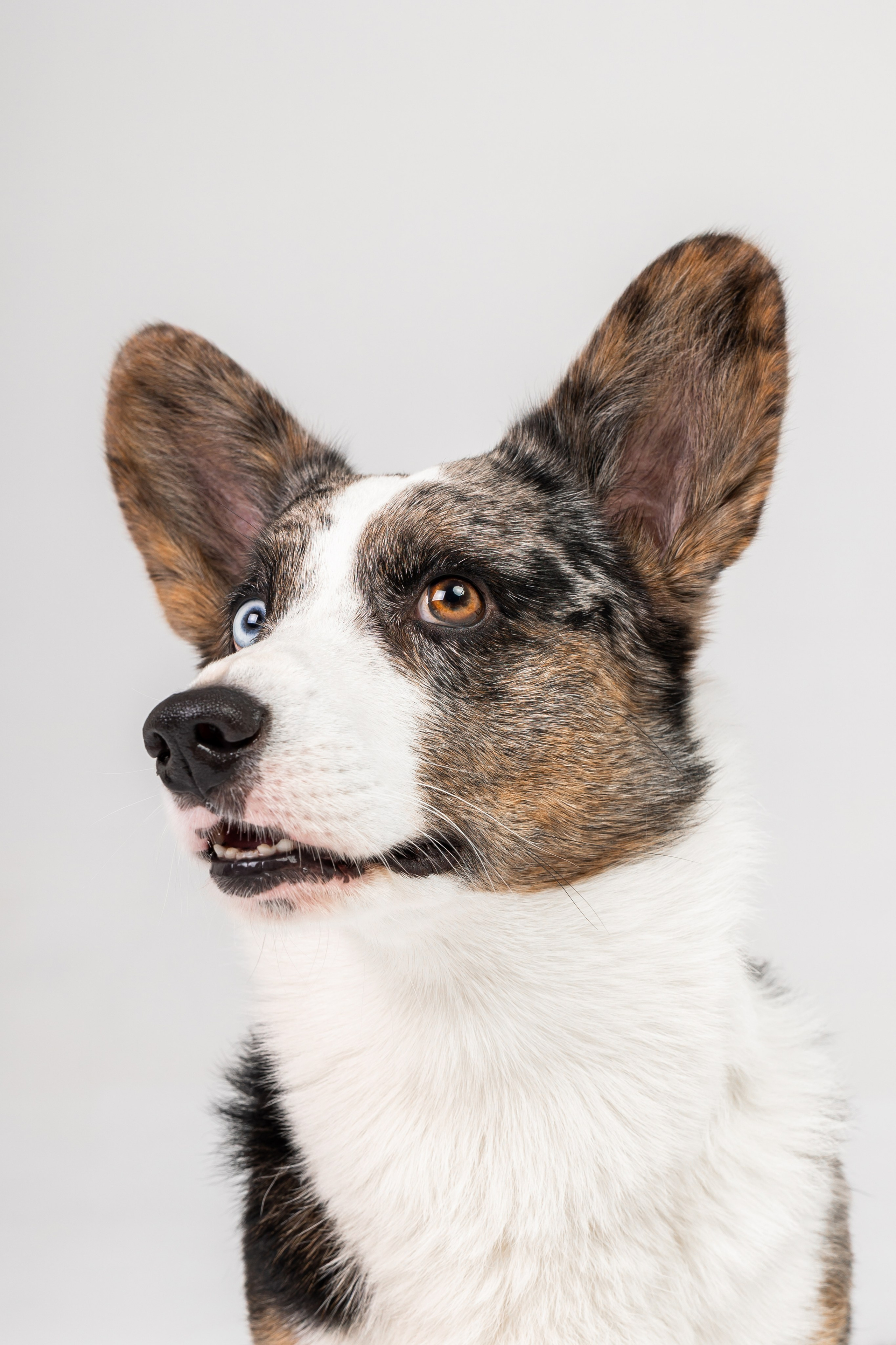 Анатолий и Рагнар