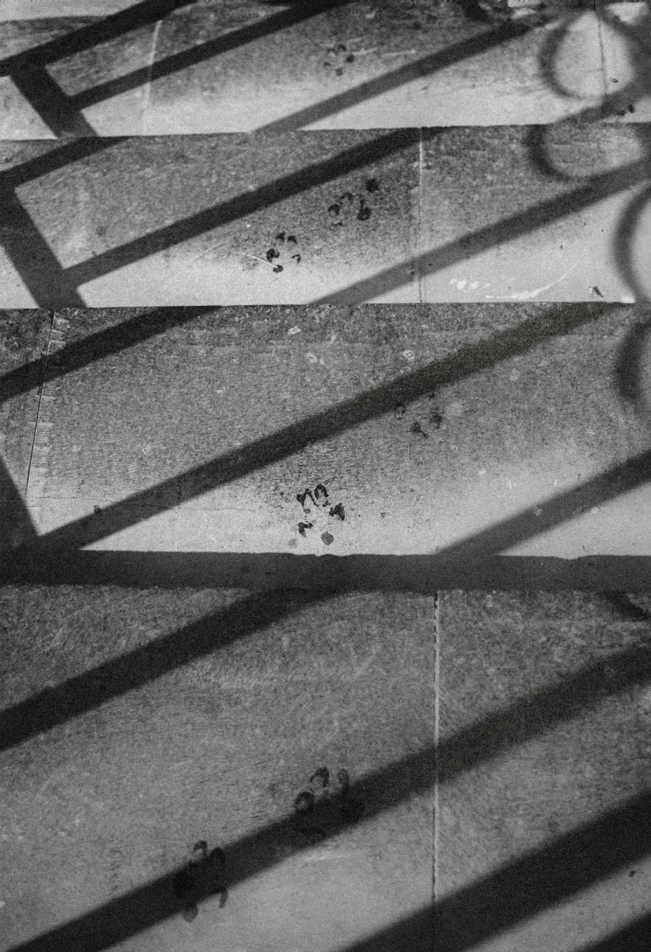 Паша и Хайди