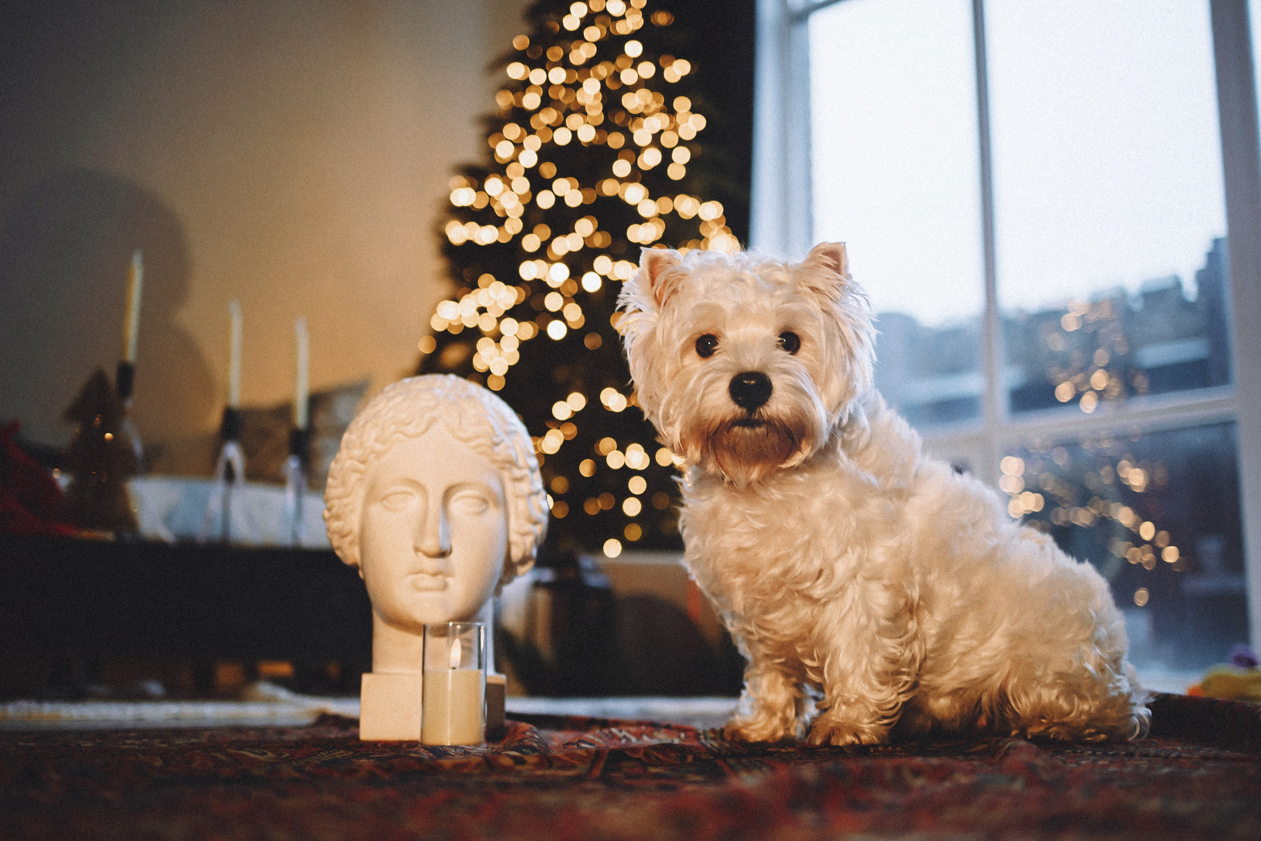 Вика, Глеб и Тори