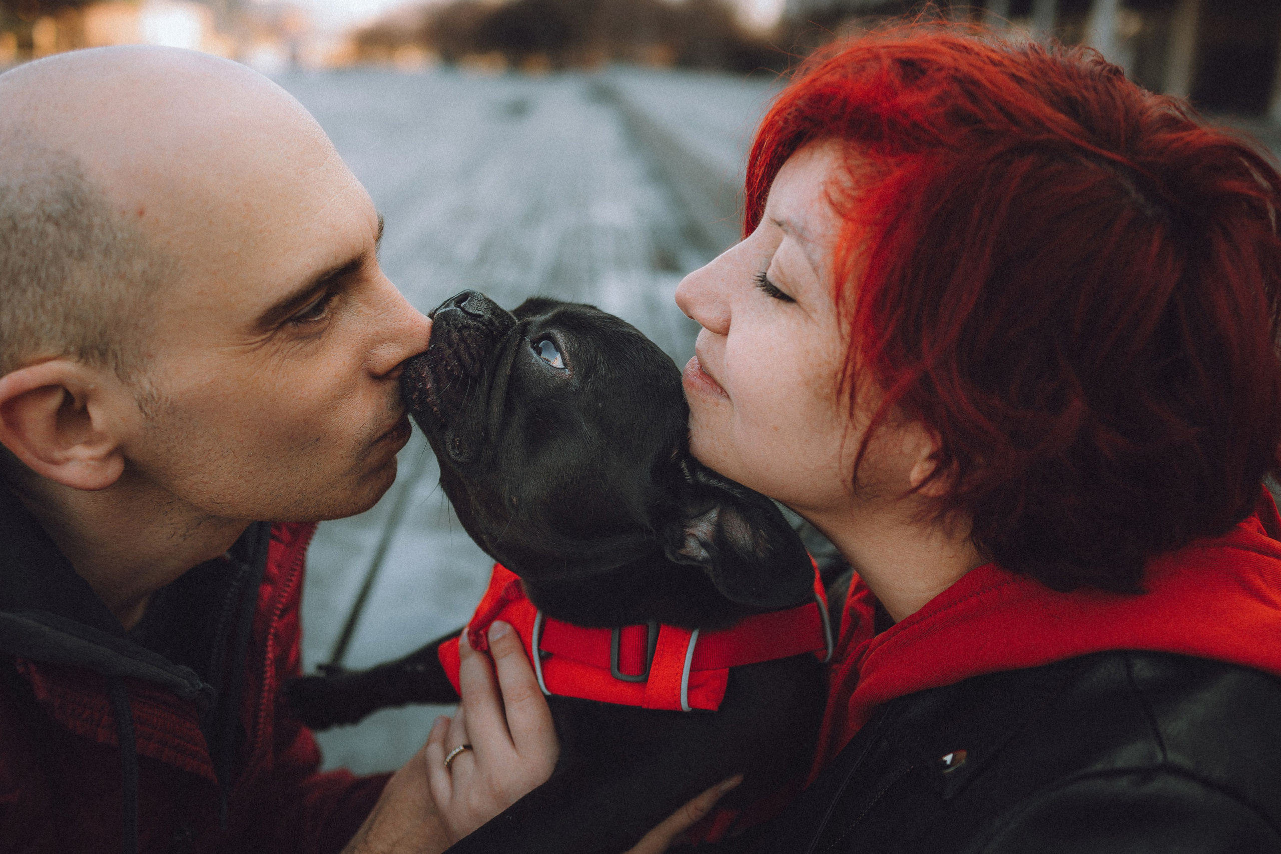 Саша, Дима и Шпуля