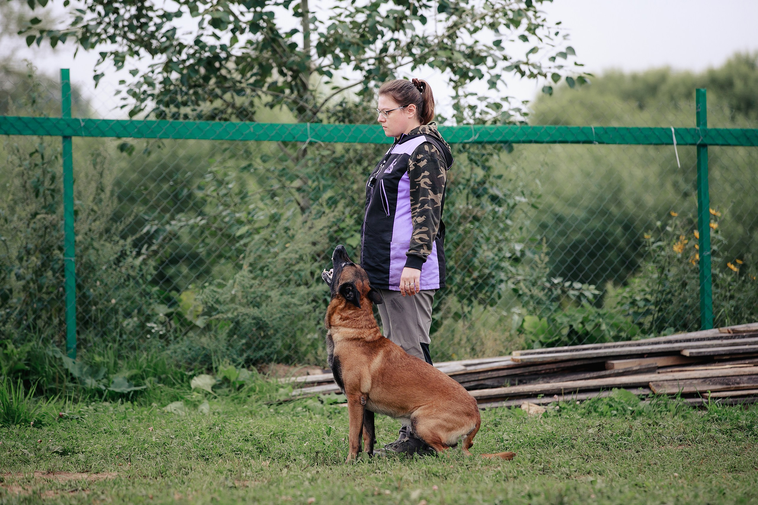 Мондьоринг М1, М2, М3, Вологда. Фотограф-анималист Mary Mart — Москва, Питер