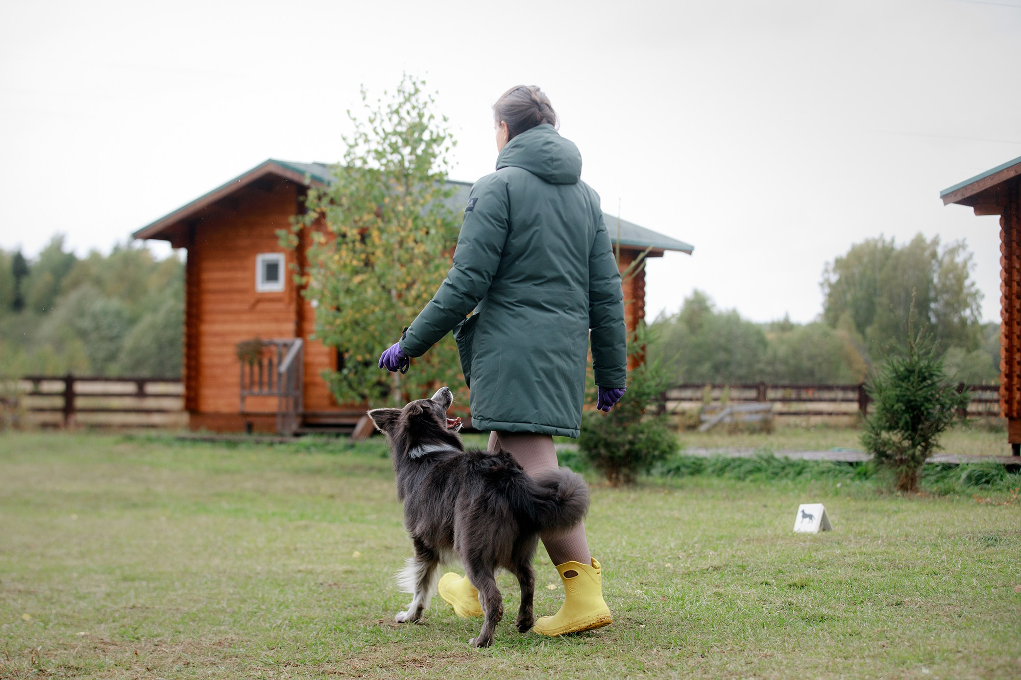 Лагерь по ОБД с Инной Баженовой. Фотограф-анималист Mary Mart — Москва, Питер