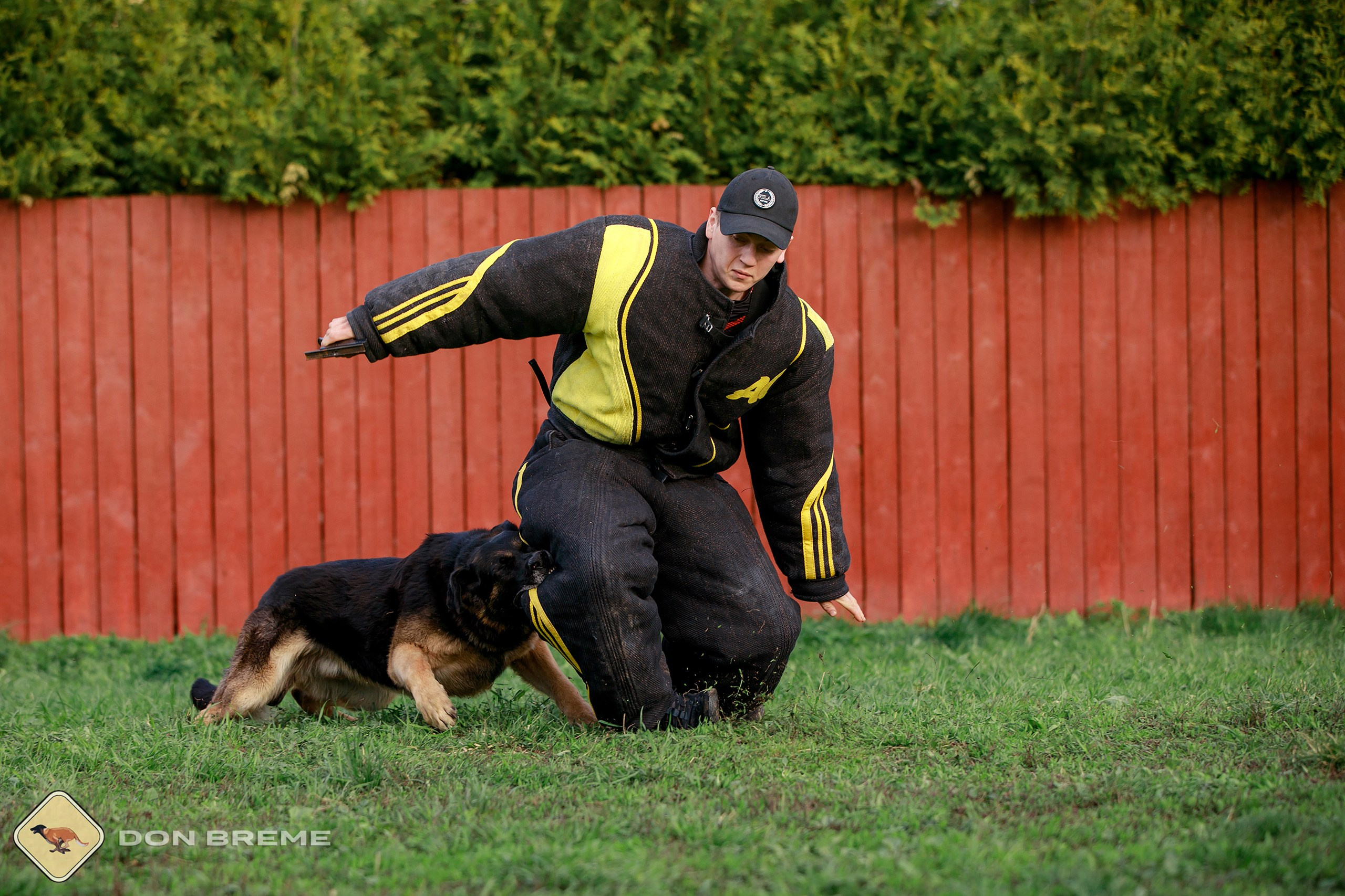 Семинар для фигурантов, день 2. Фотограф-анималист Mary Mart — Москва, Питер