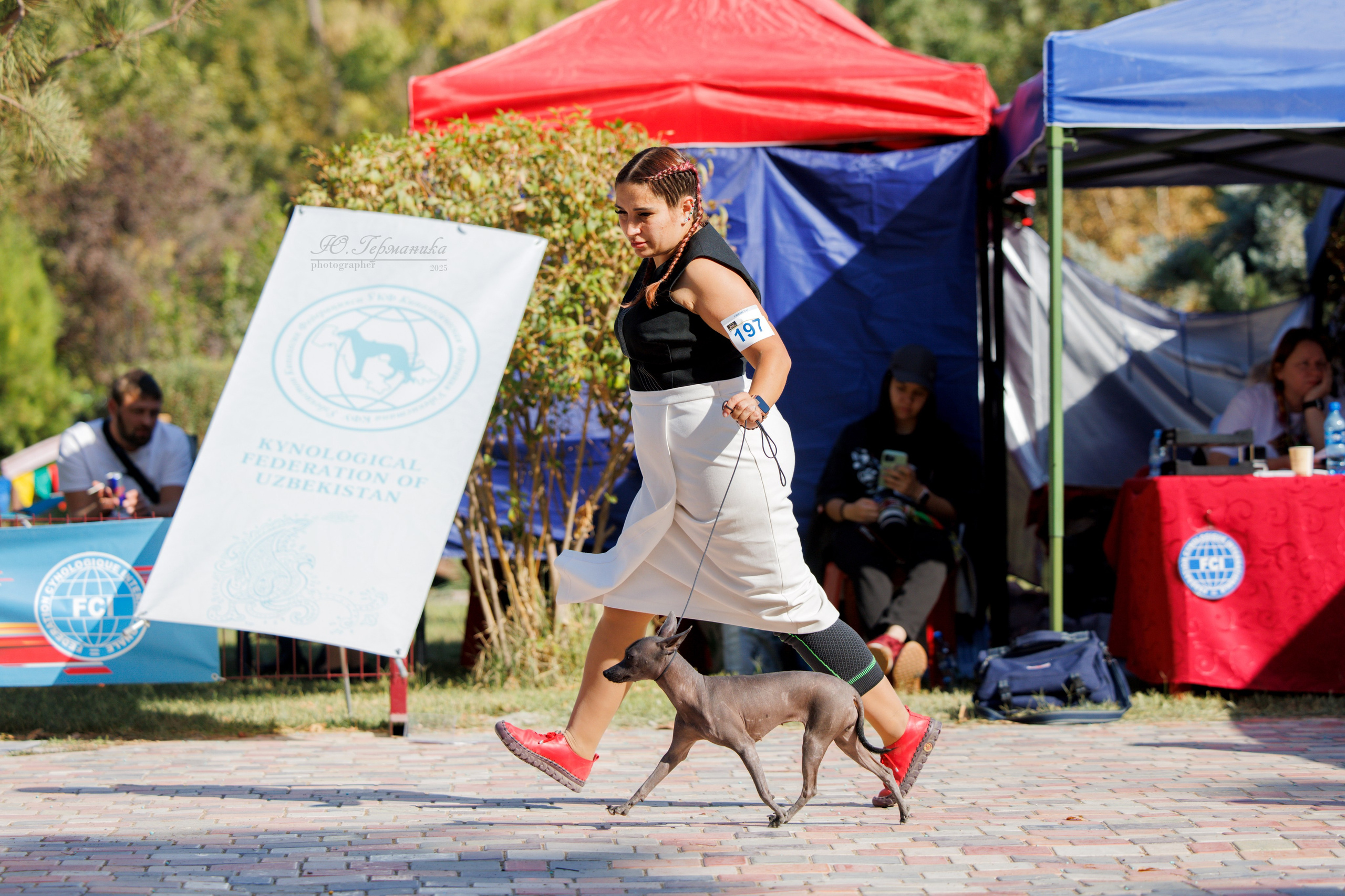 Ташкент 3хCACIB 3-5.10.2025. Фотограф-анималист Юлия Германика