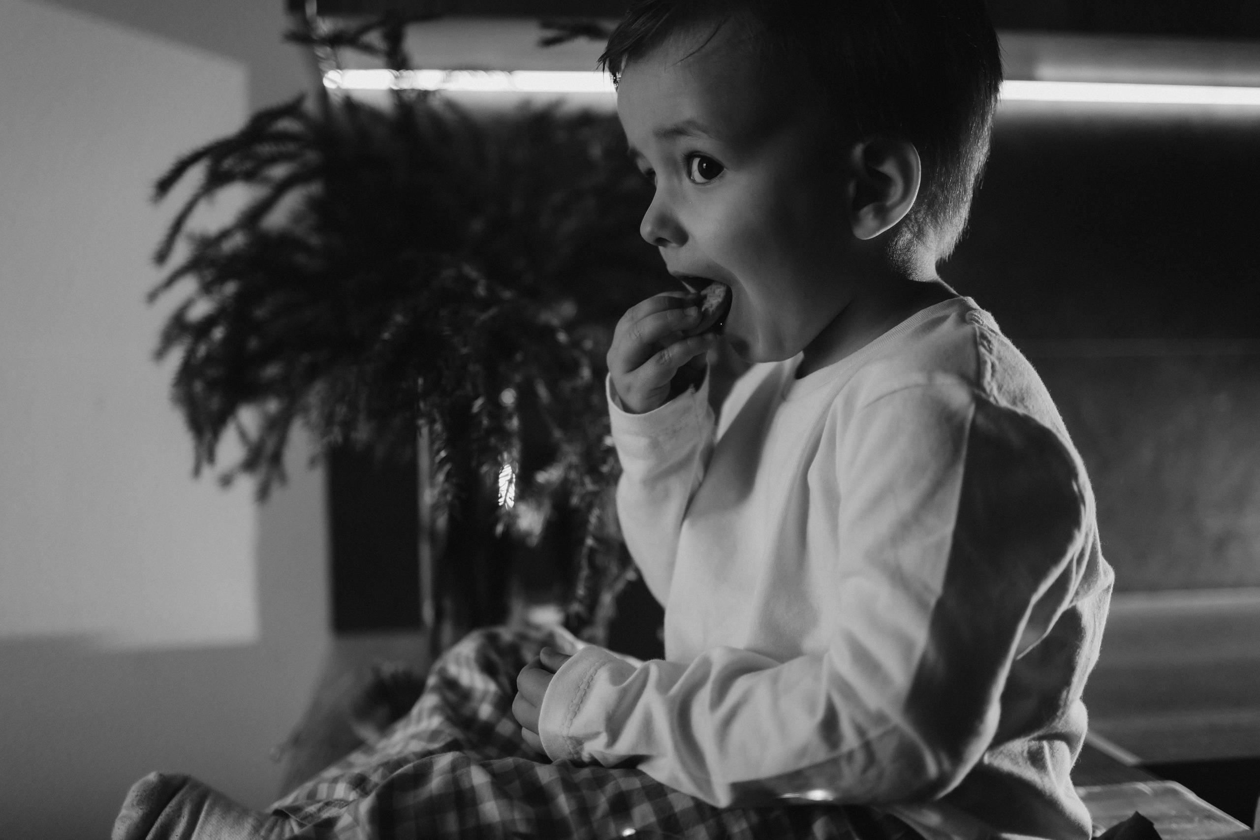 Алена и Родион. Семейный, домашний, ньюборн фотограф Москва Цветкова Елизавета