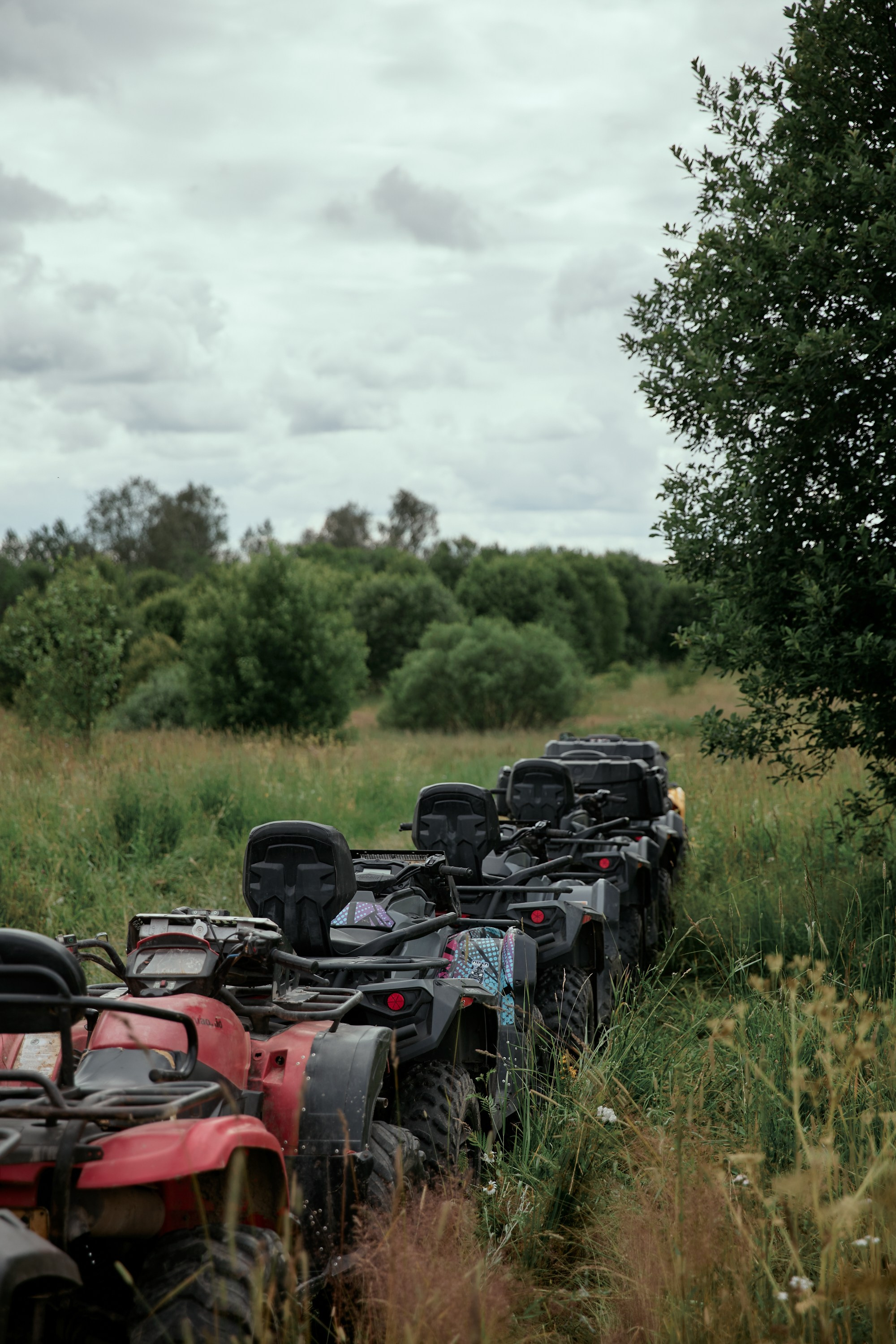 BUNTER GROUP. Дмитрий Мазуркевич: Профессиональный Репортажный Фотограф