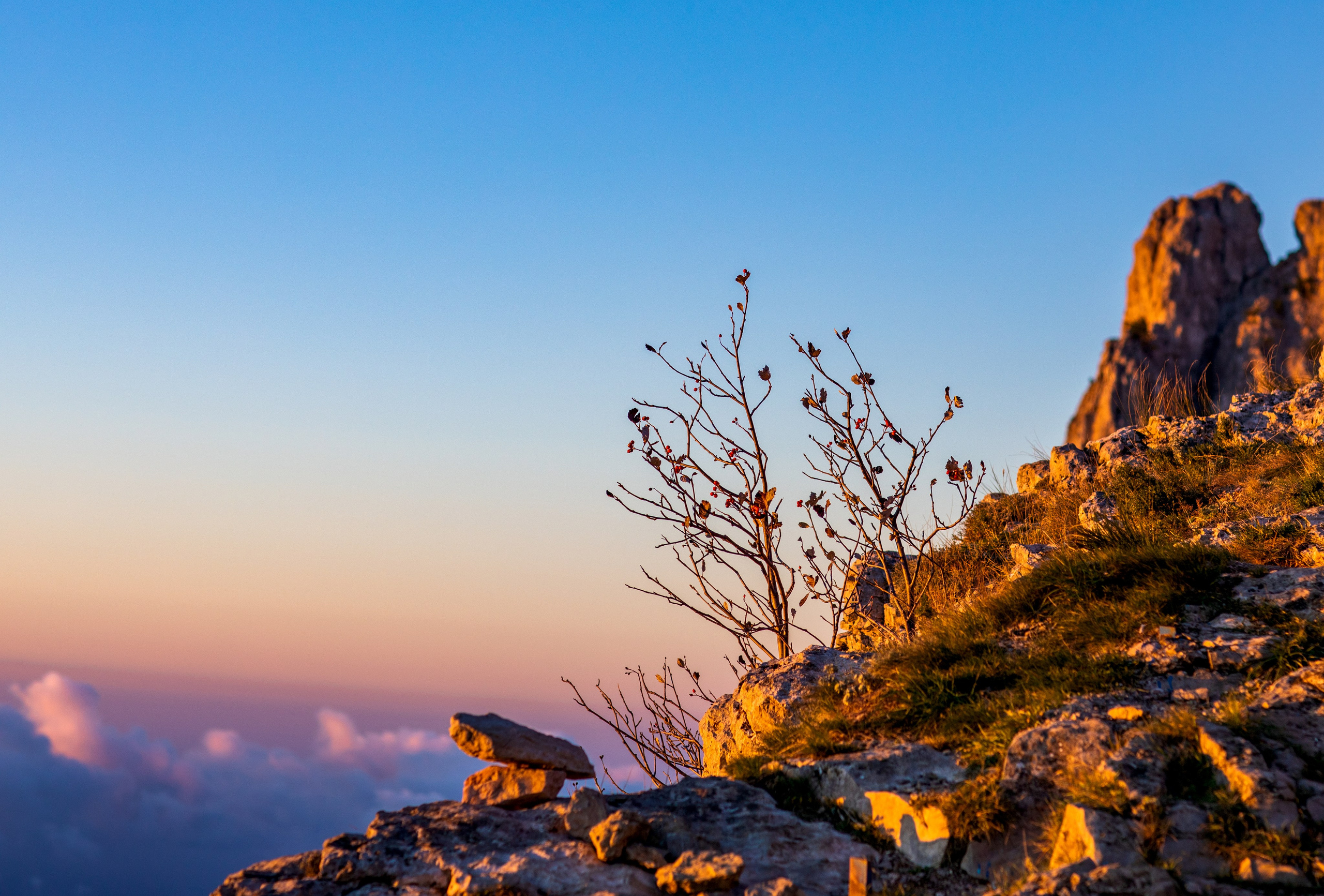 АЙ-ПЕТРИ. Фотограф Севастополь/Крым Светлана Евтушенко