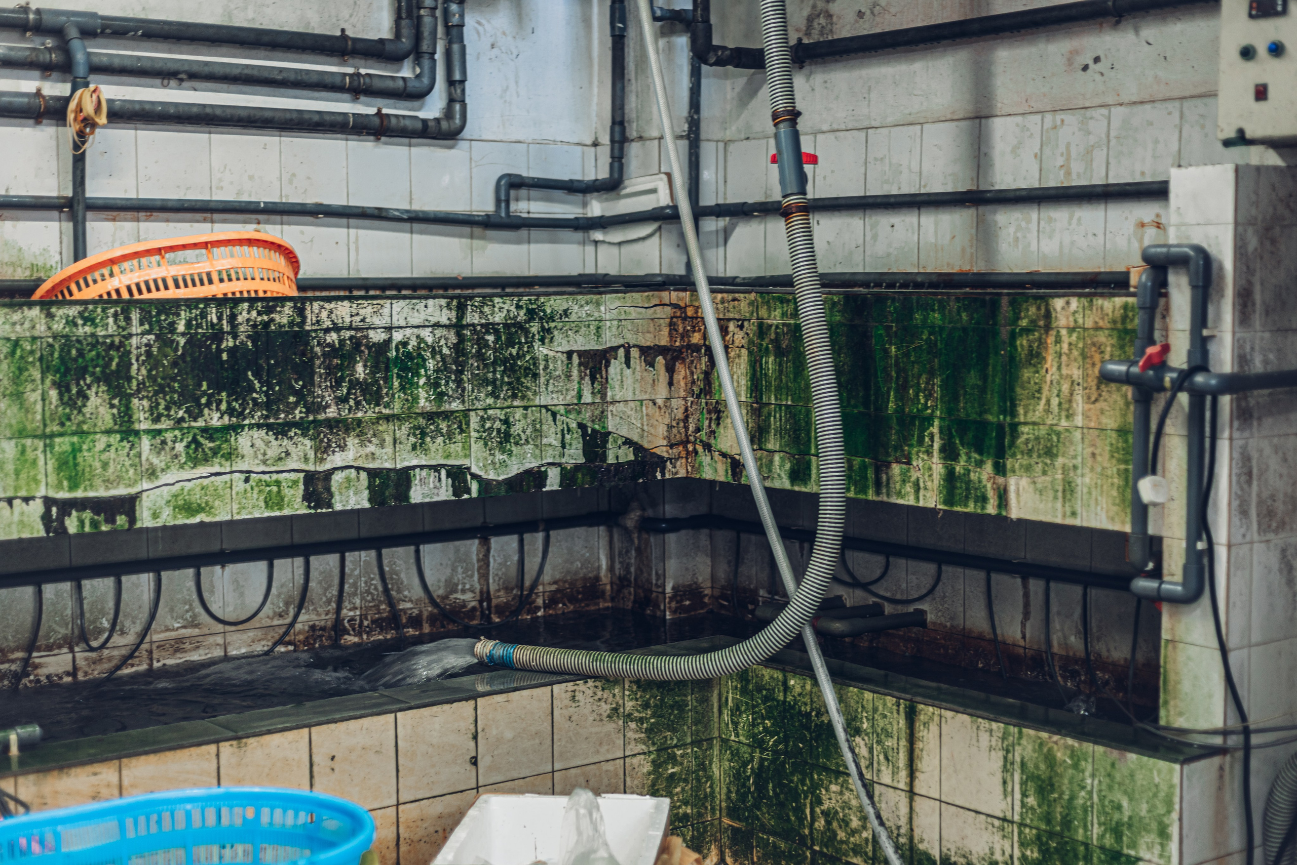 Путешествие рекламного фотографа из Гуанчжоу по Гонконгу 2 | Истории и вдохновение. Коммерческий и предметный фотограф в Гуанчжоу Коваленко Александр