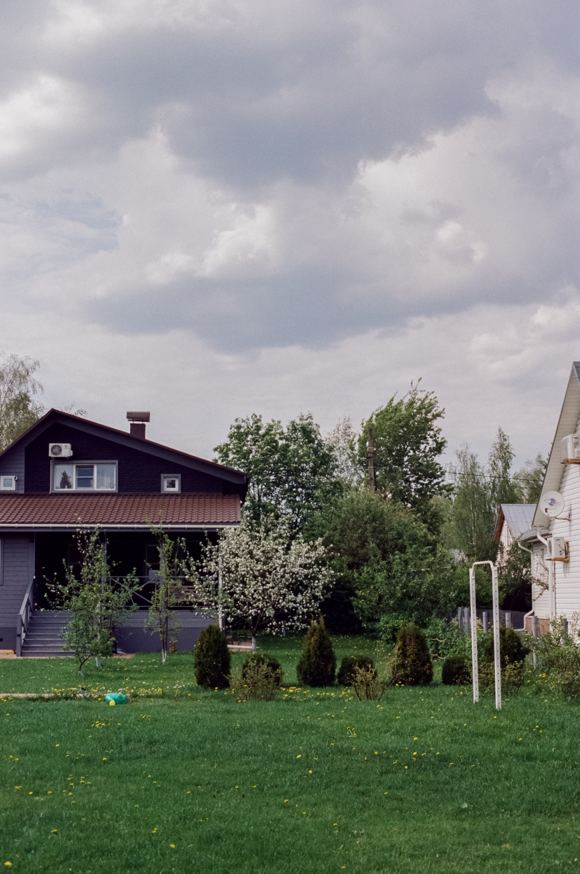 Nikon F100 — Micro-Nikkor-P.C Auto 55 mm f3.5 | май 2025 года | Давыдовское