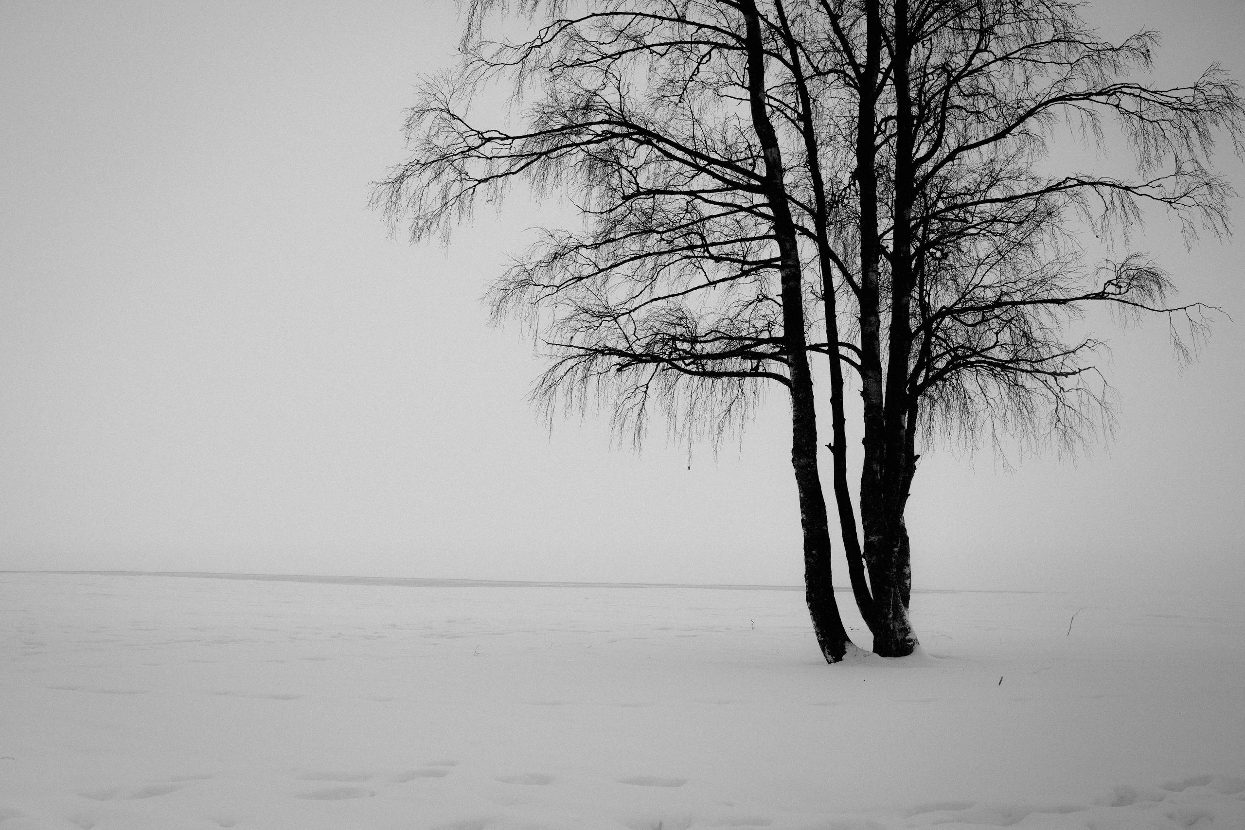 № 28. WAYHAY — Портретный фотограф