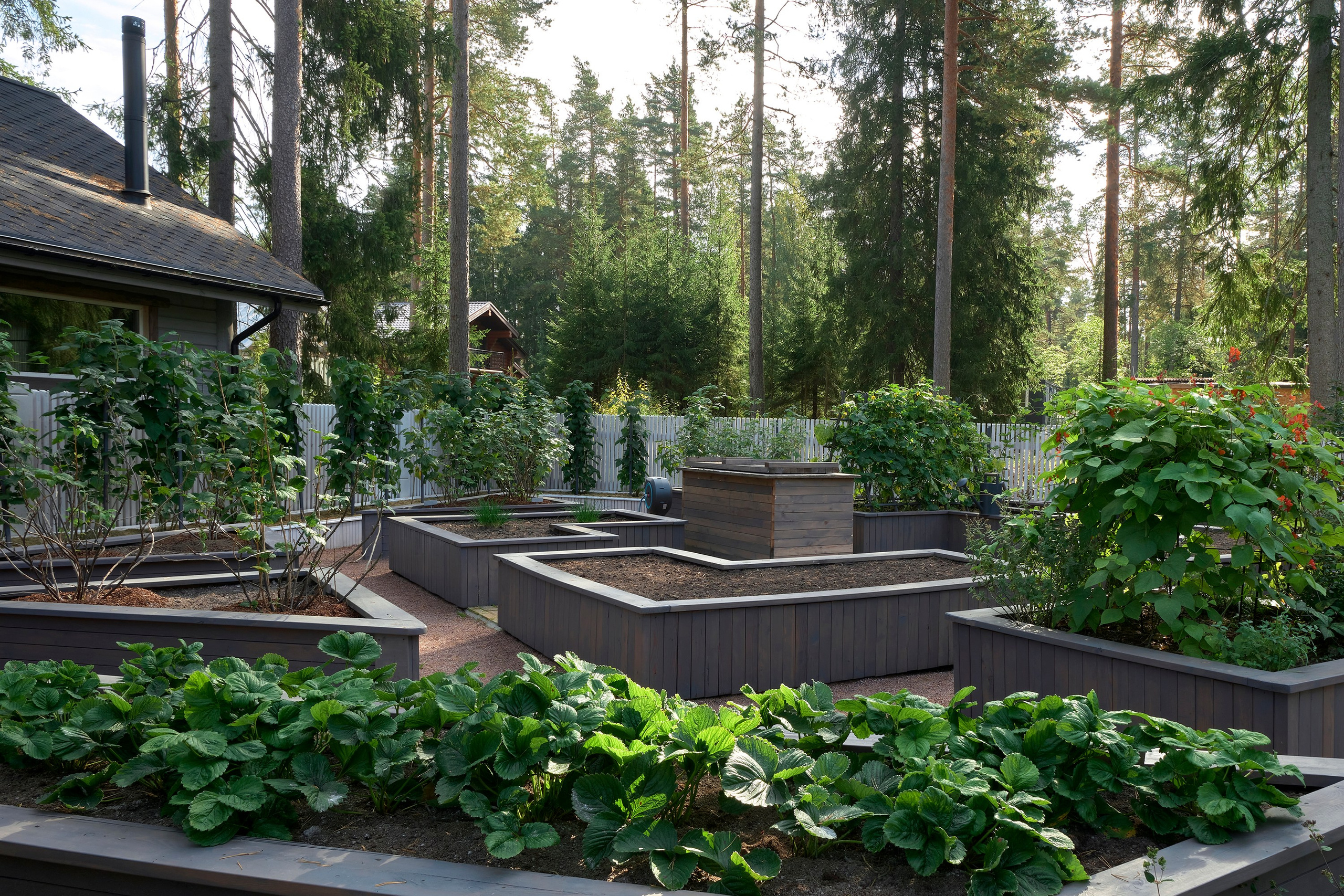 Ландшафтный и интерьерный фотограф Наталья Соловьева. Фотосъемка сада в Рощино для студии Мята | interioto