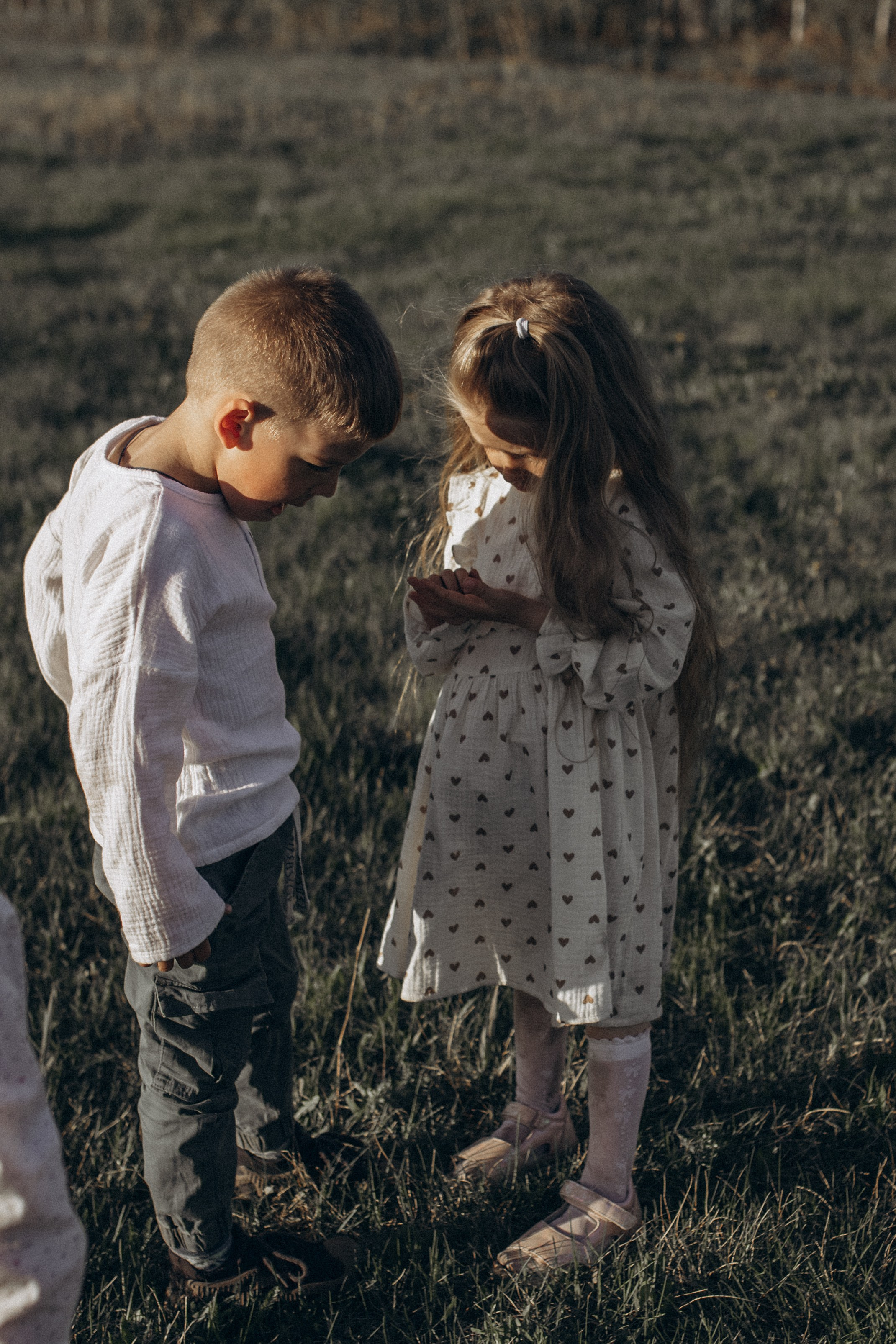 Саша, Миша, Вера и Вика летняя прогулочная съёмка. Семейный фотограф lifestyle в Новосибирске Елена Шпилевая