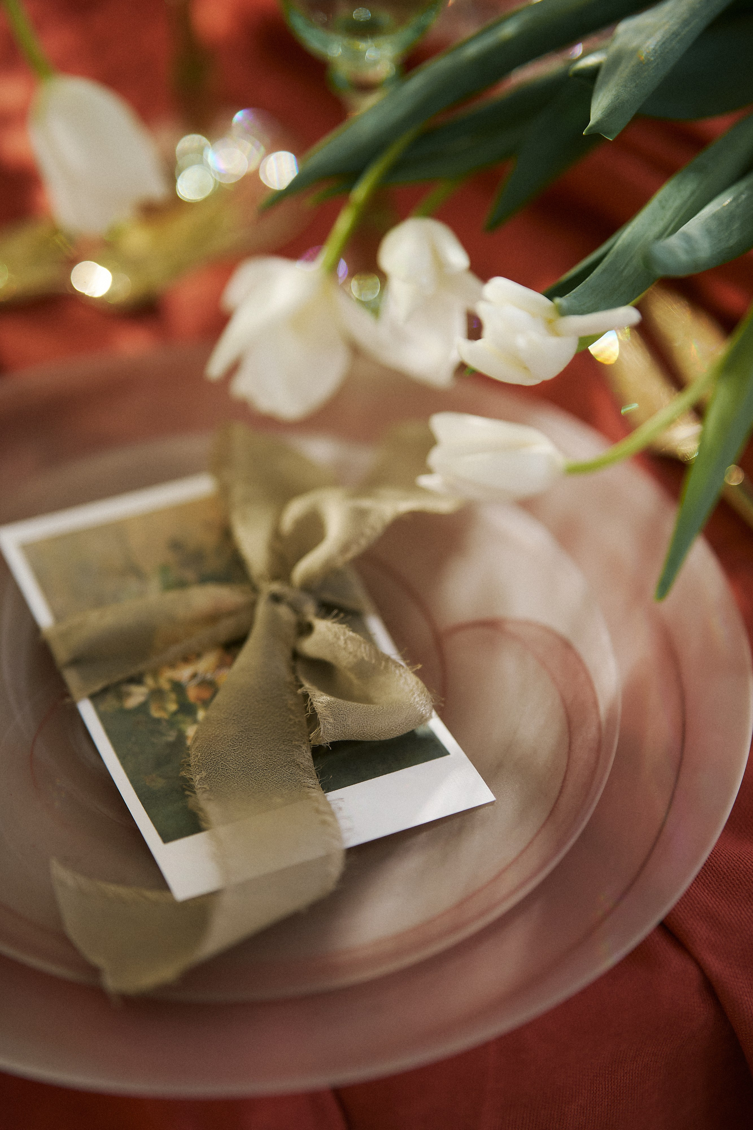 Альберт и Кристина | Творческий проект с командой. Свадебный фотограф Минск РБ