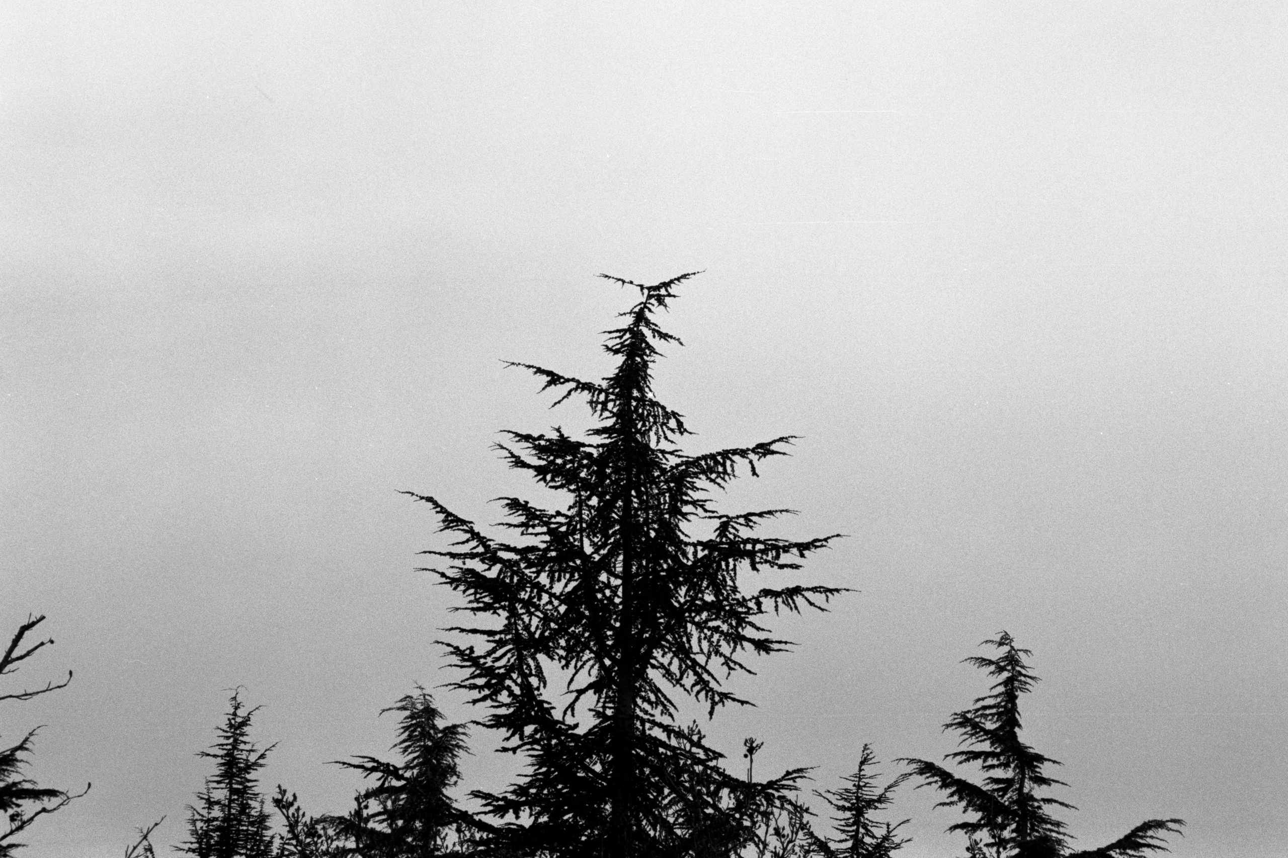 Krasnodar / fmp 100. Фотограф Юрин Евгений