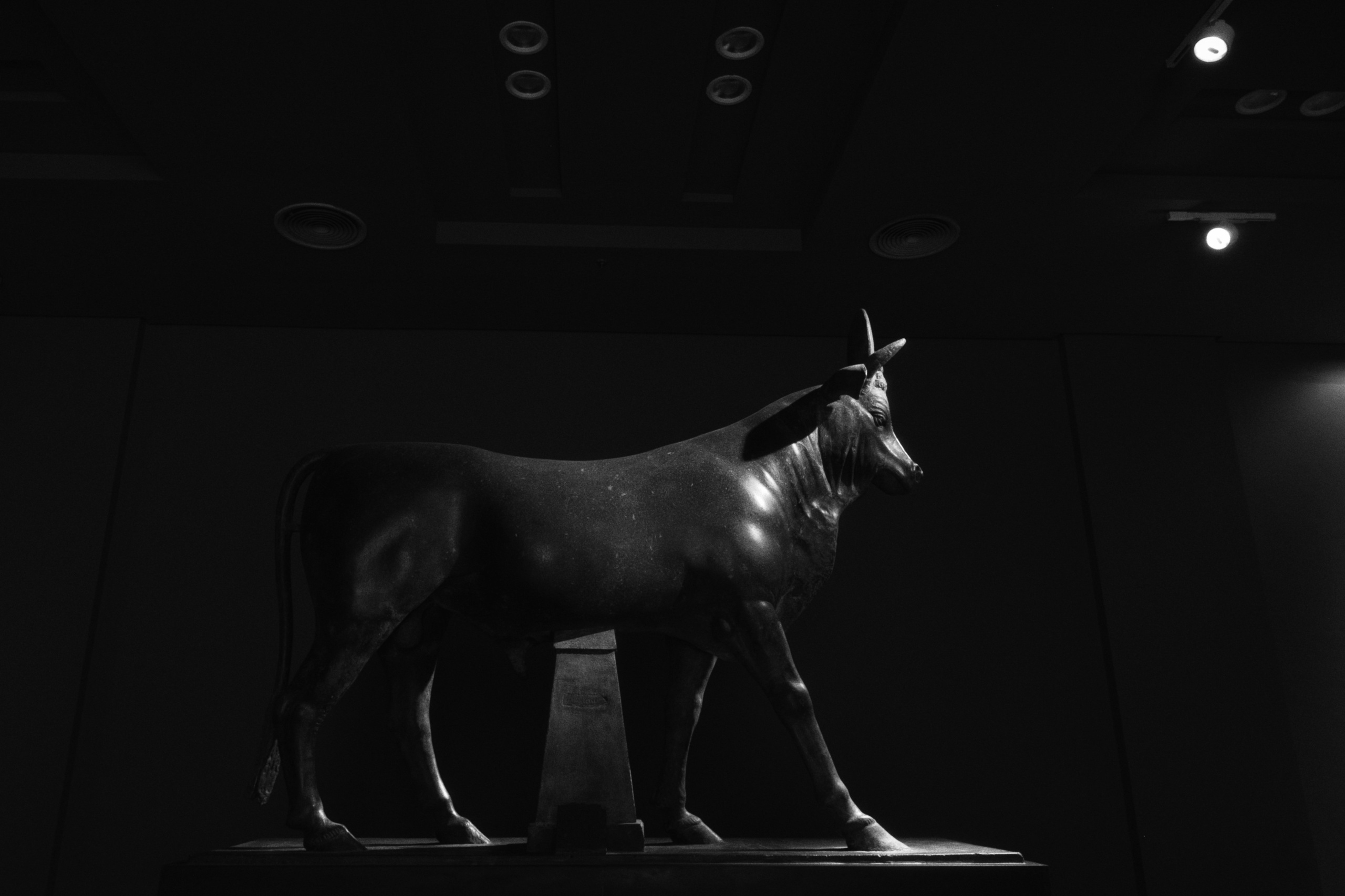 Greco-Roman Museum / Alexandria, Egypt AW25. Фотограф Юрин Евгений