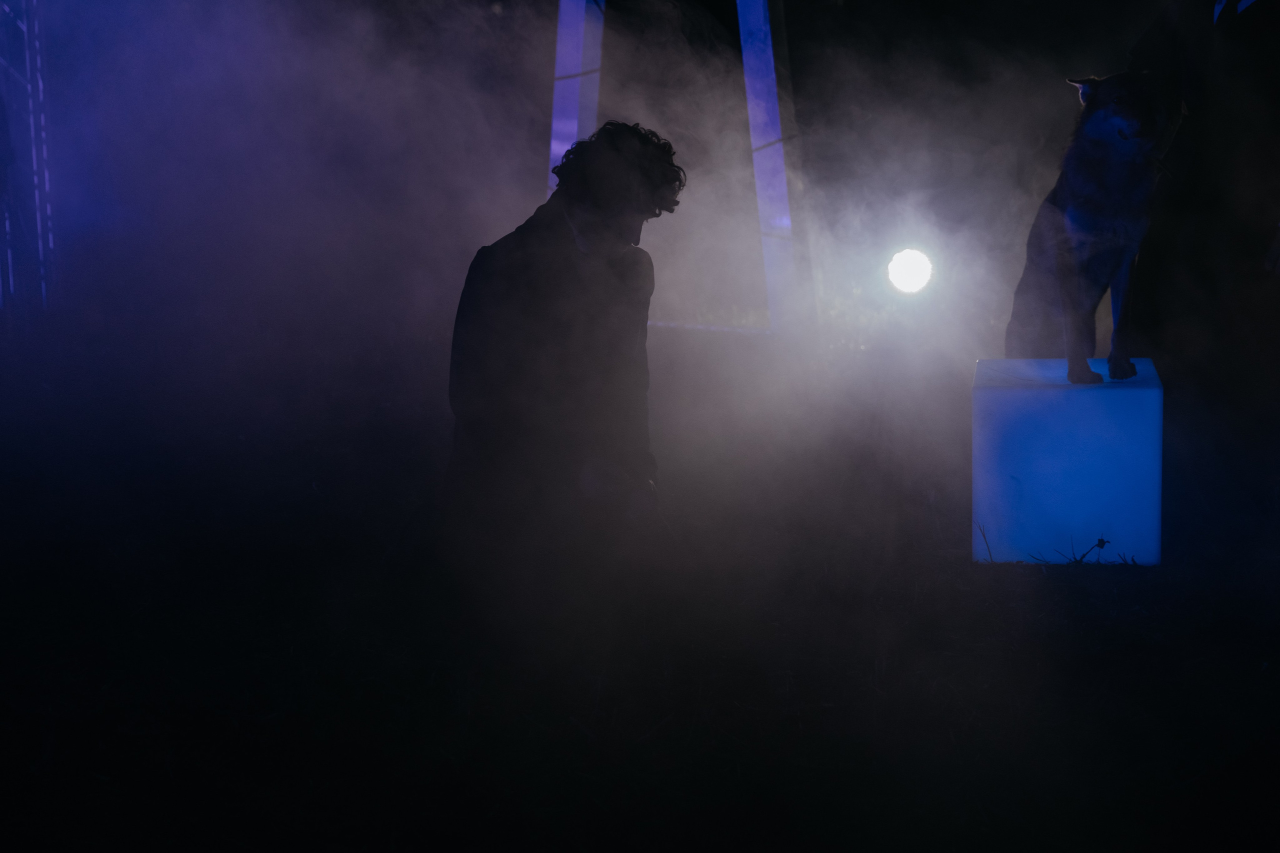 Иммерсивное шоу «Пушкин.Суйда» 2024. Свадебный и репортажный фотограф в Санкт-Петербурге