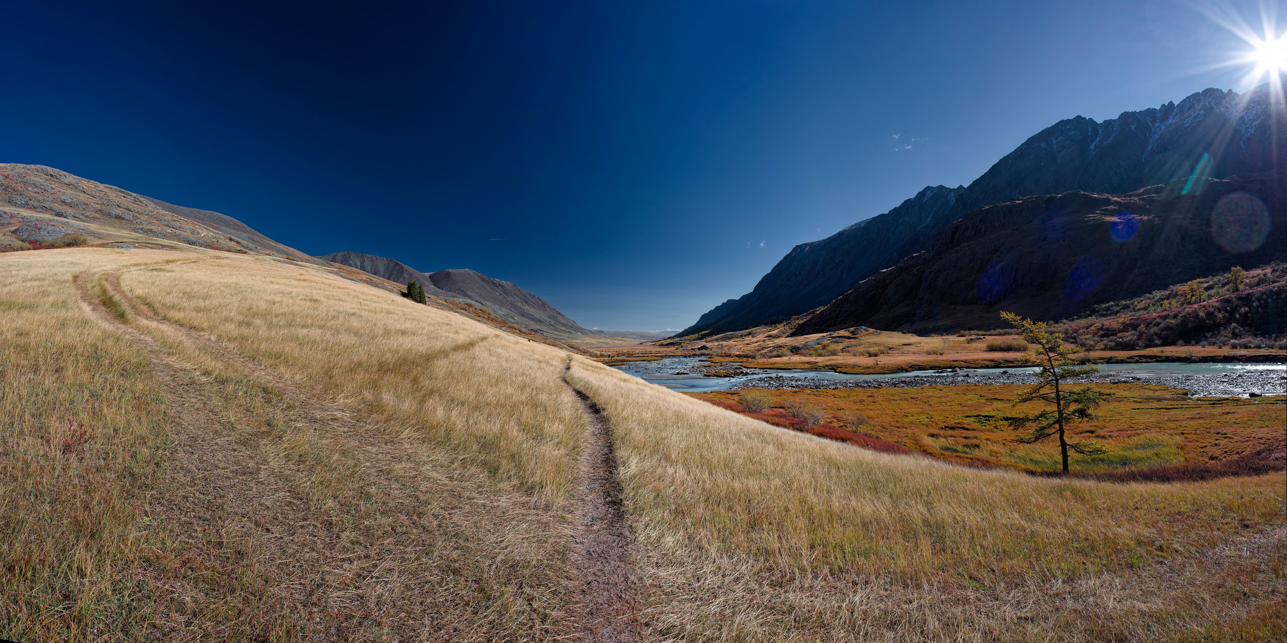 Луг на склоне горного ущелья Аккол с видом на реку и одиноким деревом