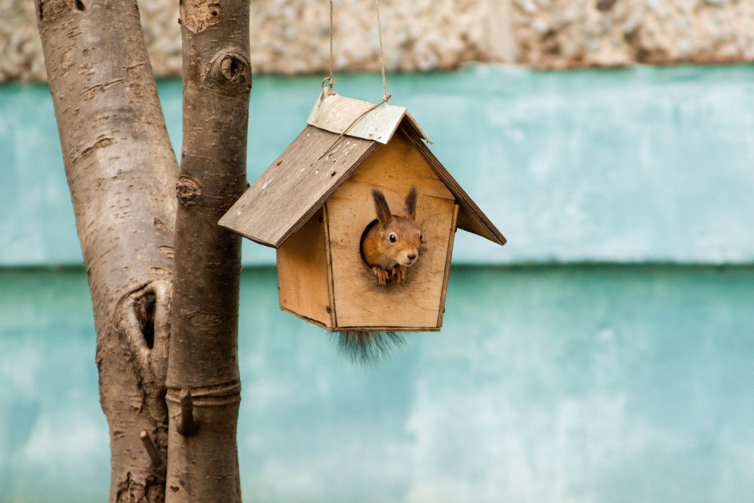 «Первый слёт» региональный туристский слёт Движения Первых города Москвы 2025. Репортажный фотограф в Москве и Зеленограде Виктория Шишова