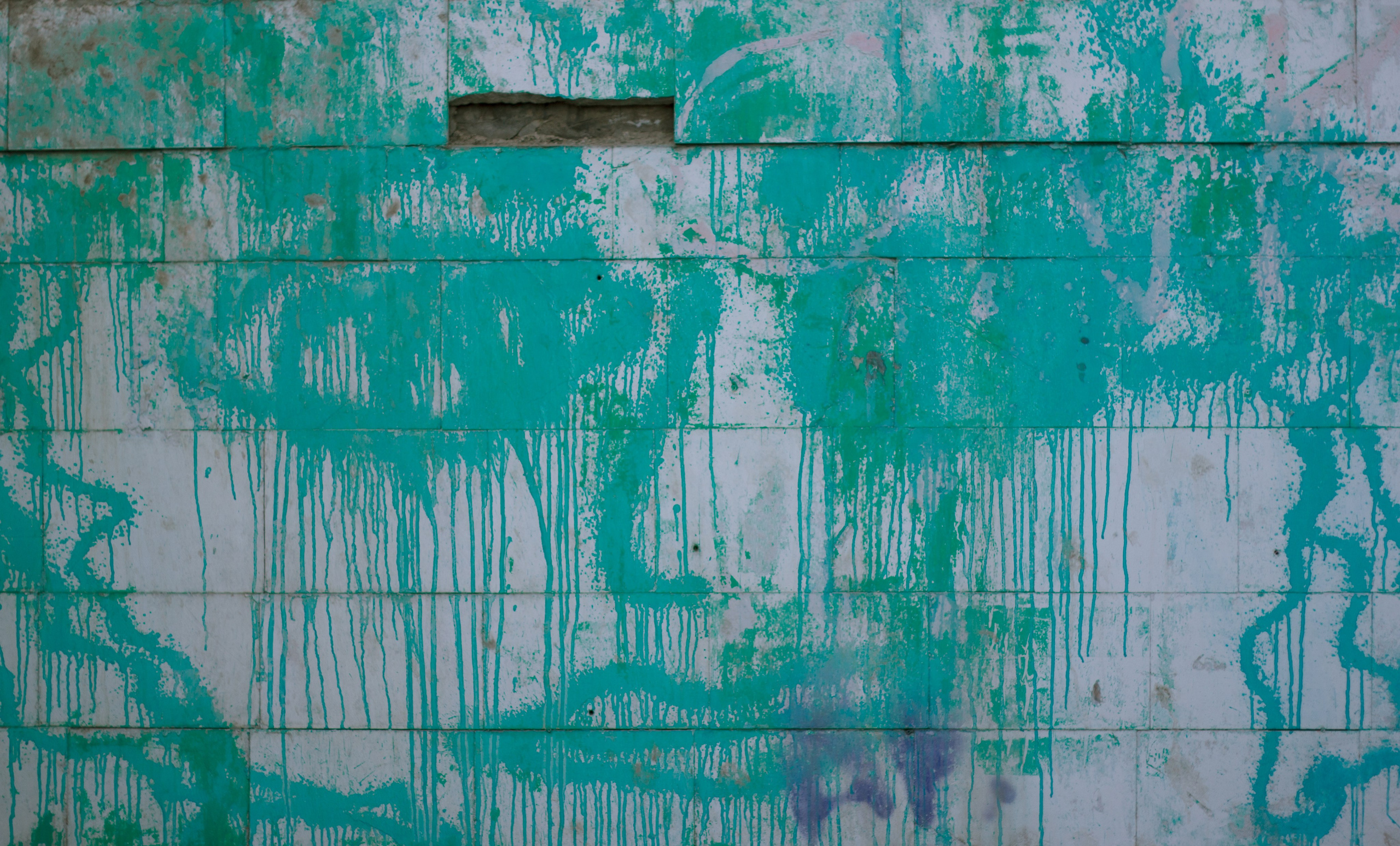 Евгения. Фотограф, видеограф в Санкт-Петербурге