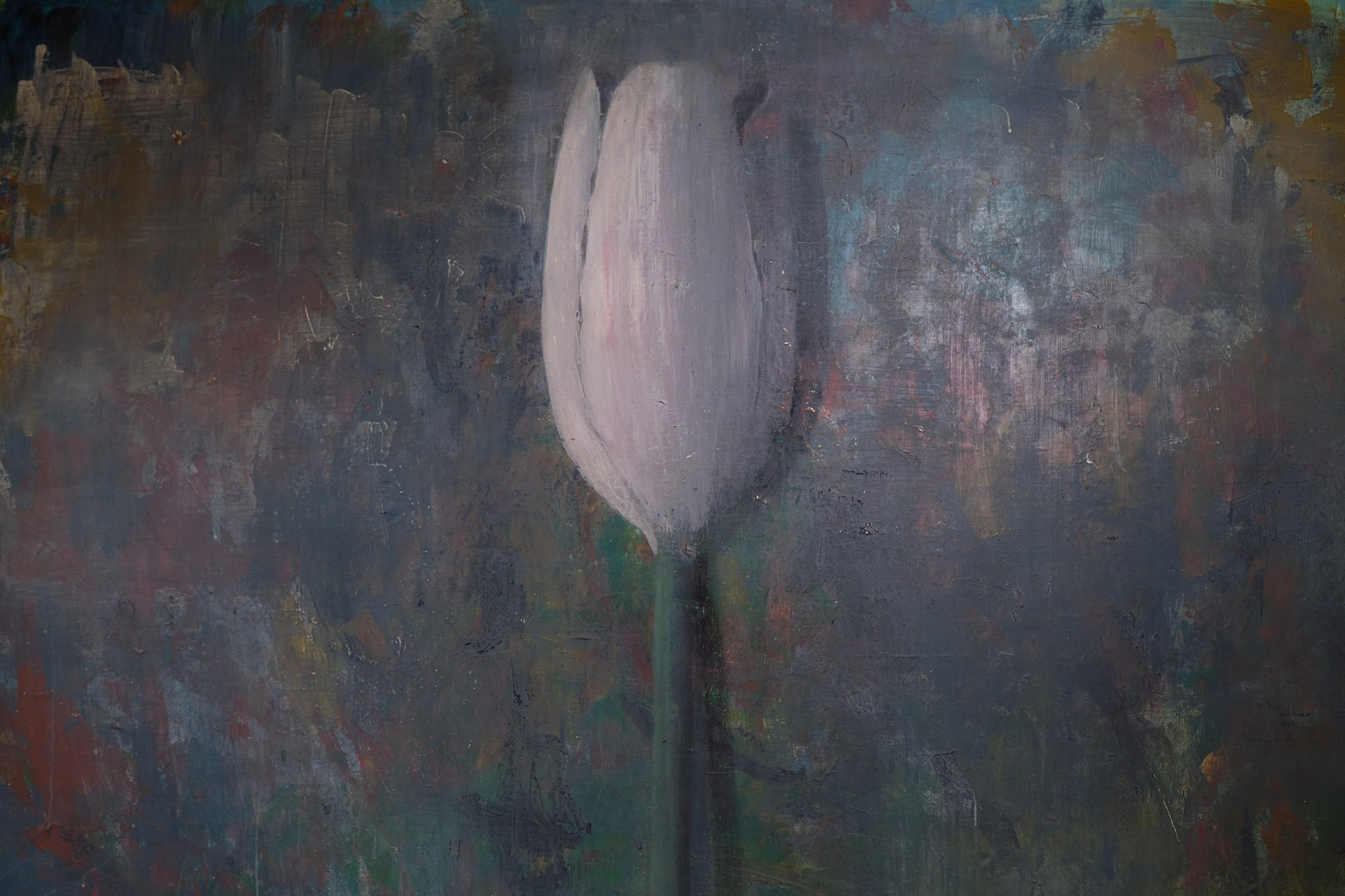 Inna. Организация фото/видео съемки, Москва