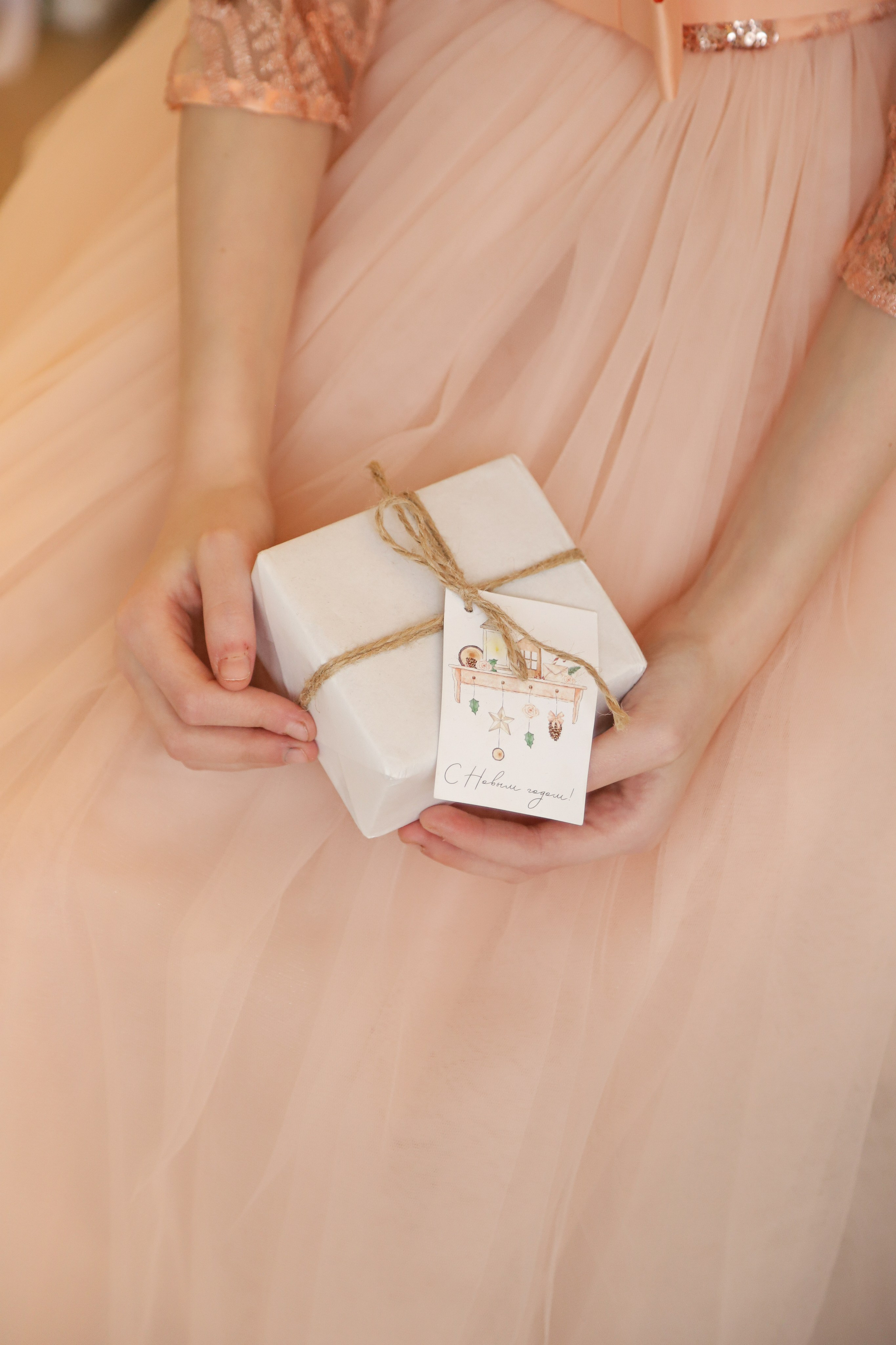 Сестрички новогодняя. Диана Николаева — фотограф город Балашиха