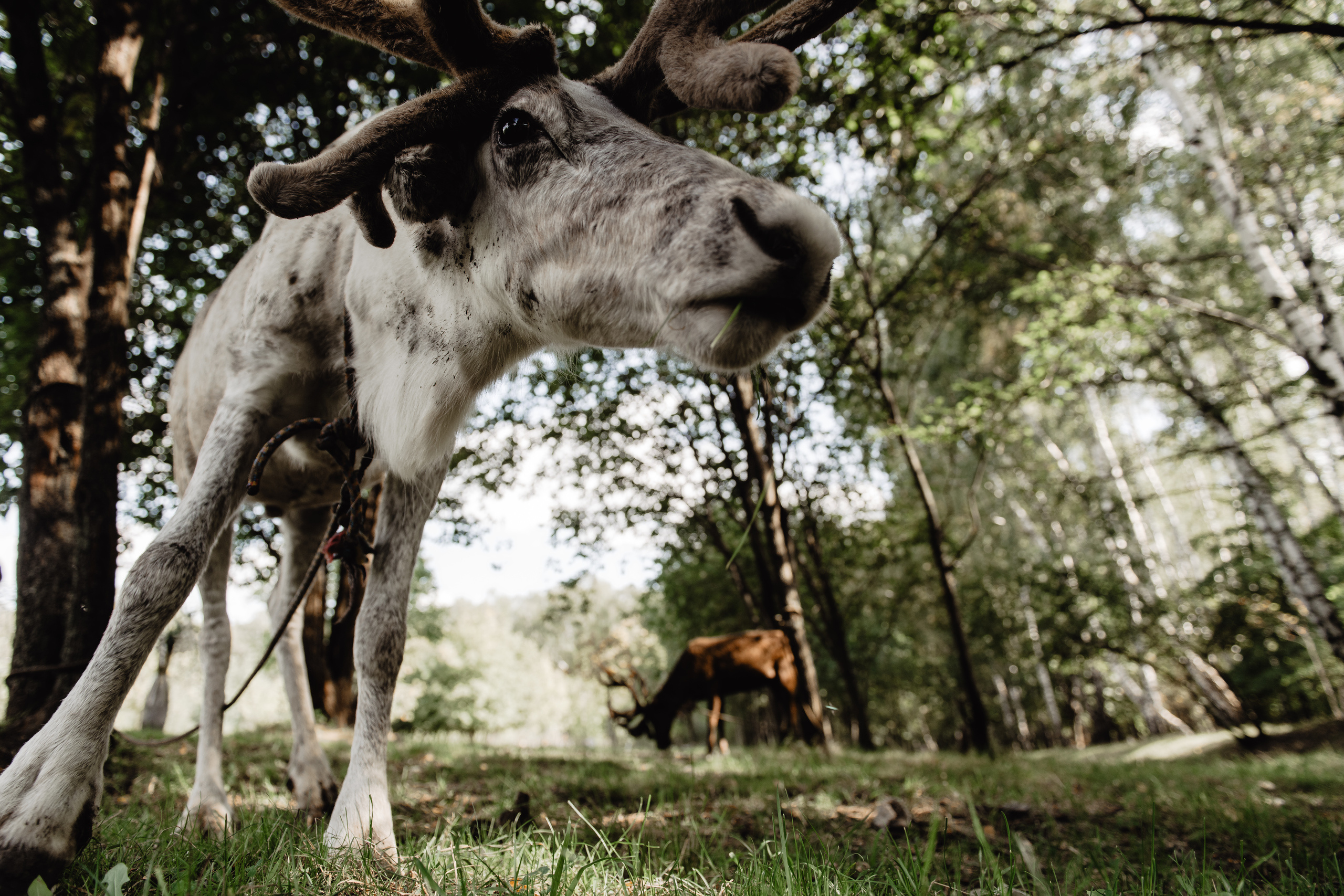 А щечки, щечки… ?!. Dmitry Unik — ваш стильный фотограф